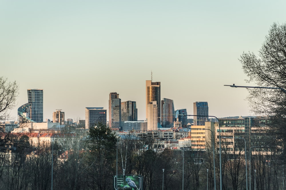 high rise buildings during daytime