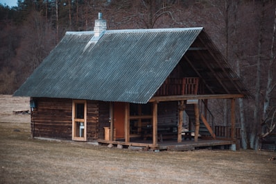 brown wooden house near trees during daytime