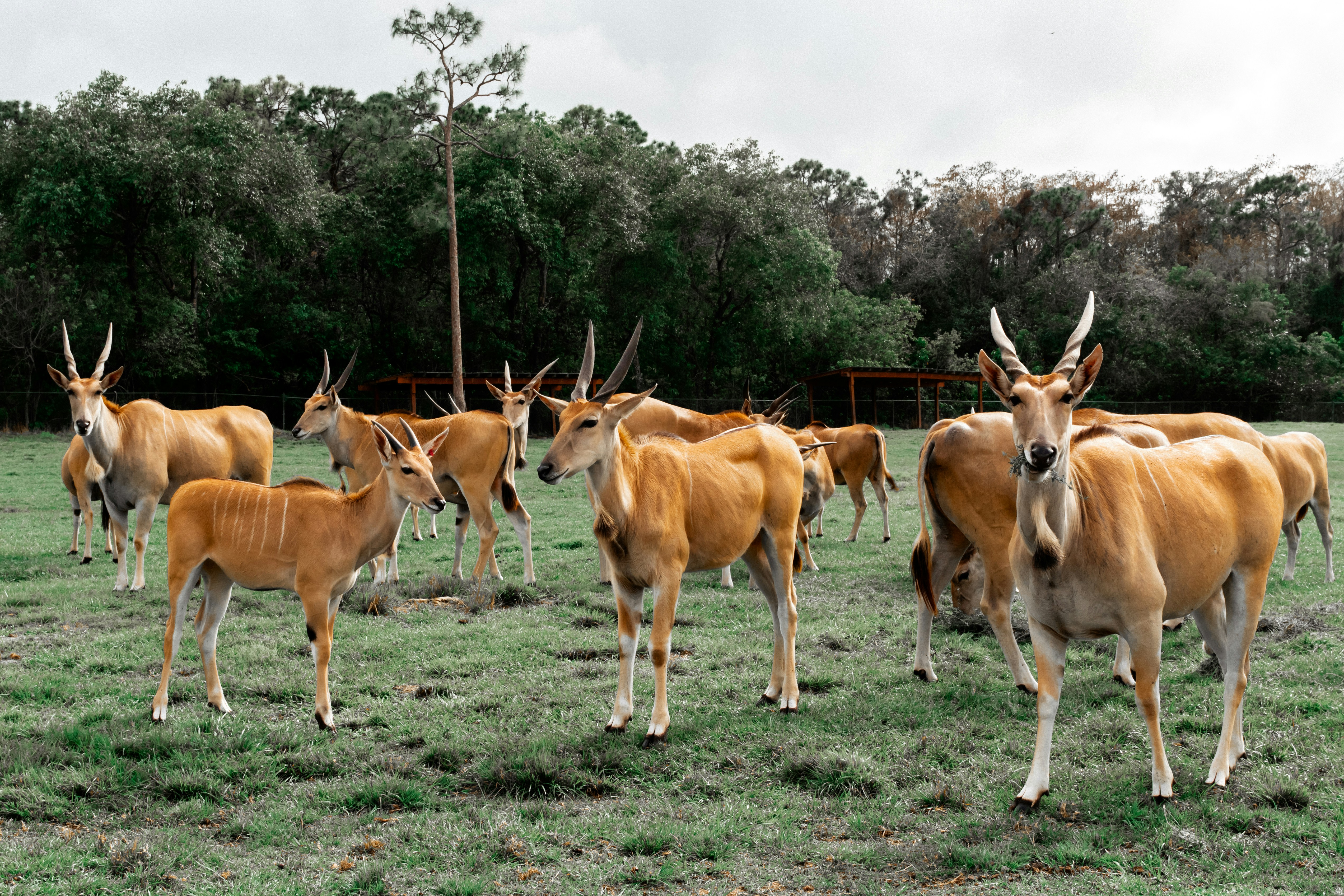 Photo by detroitbuckeye