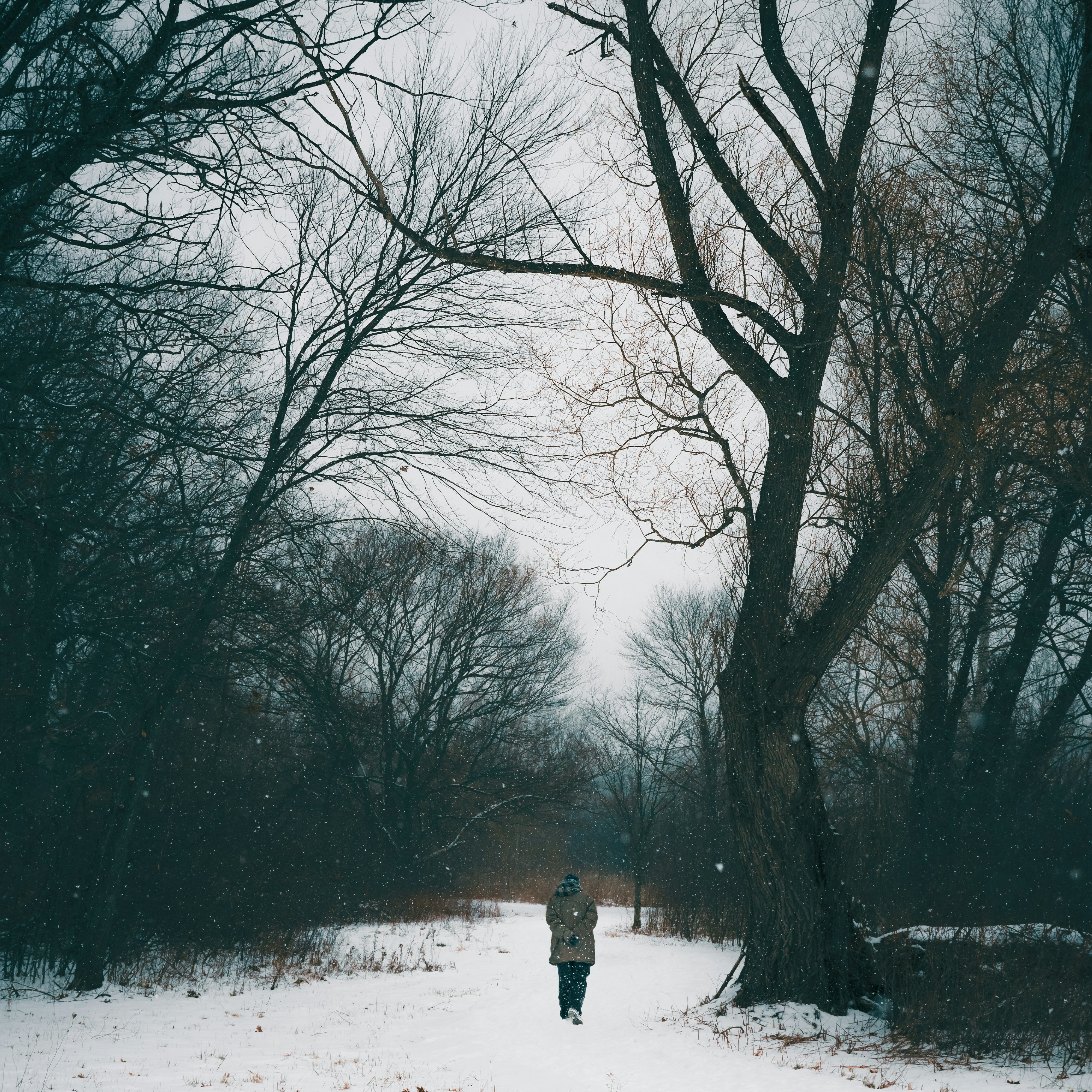 Photo by detroitbuckeye