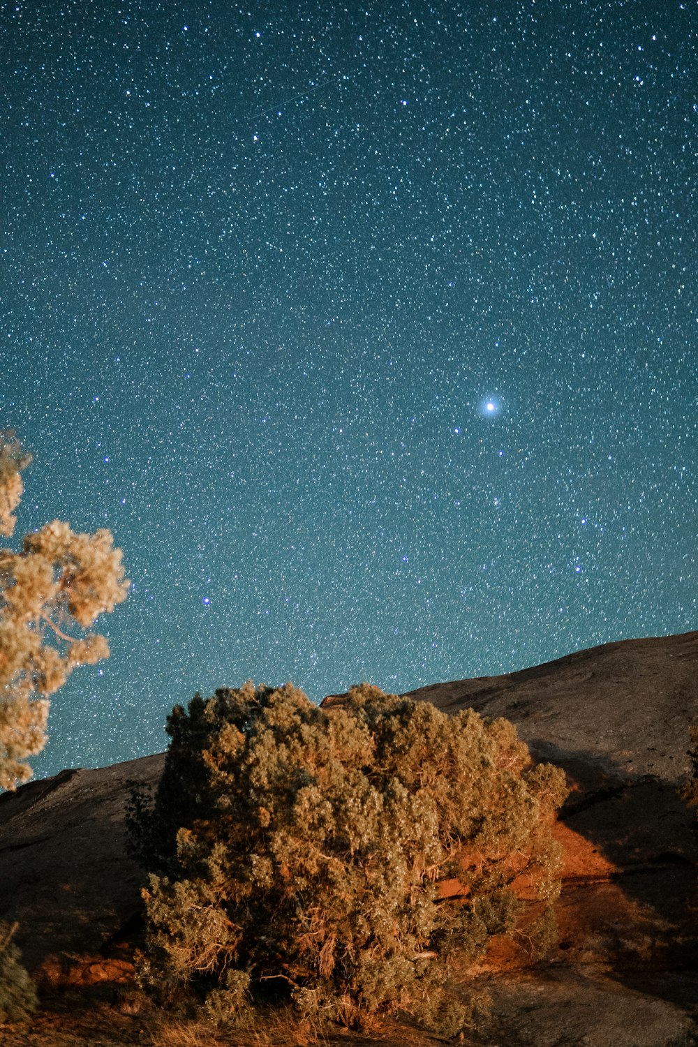 brown mountain under blue sky during night time