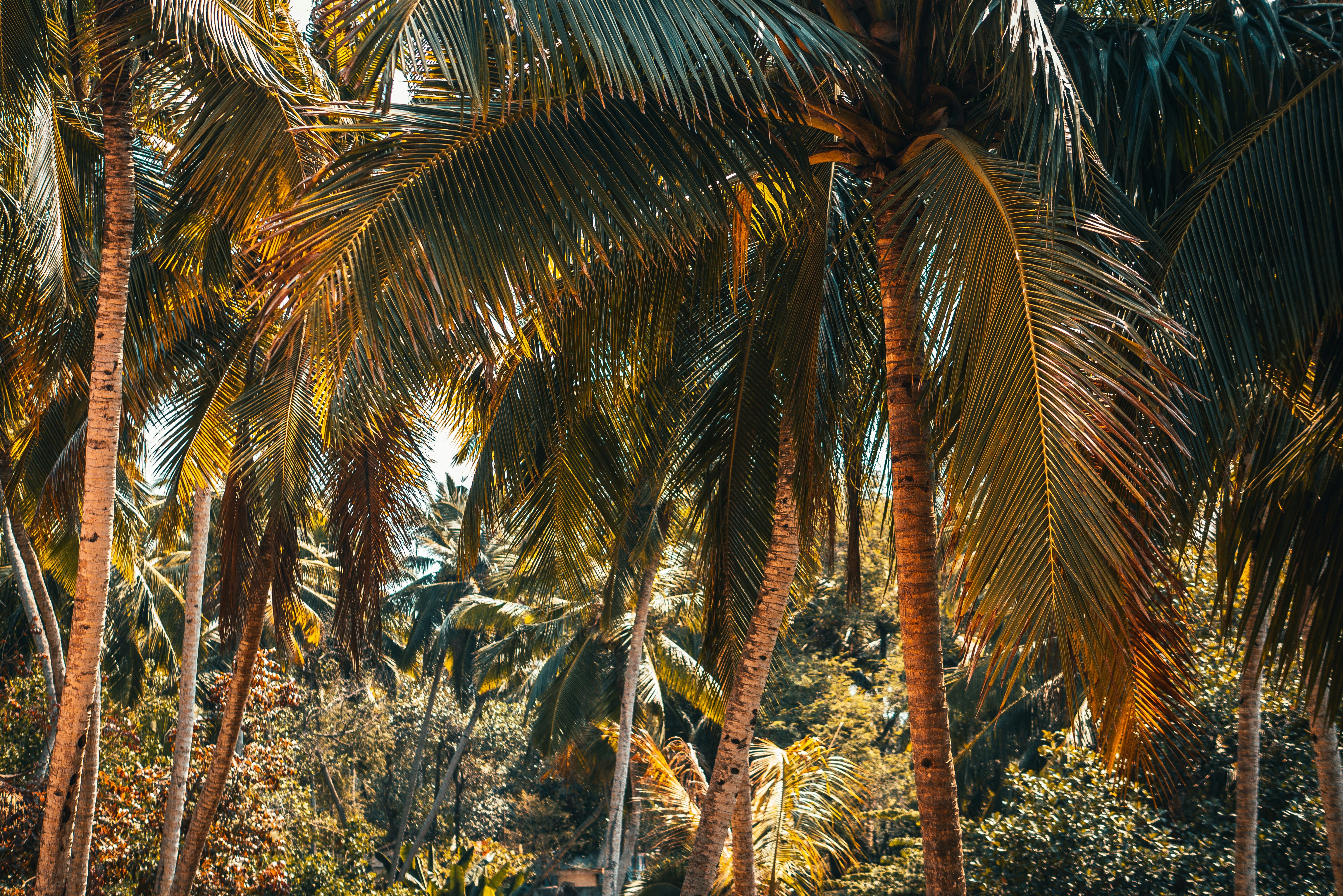 Photo by raimondklavins