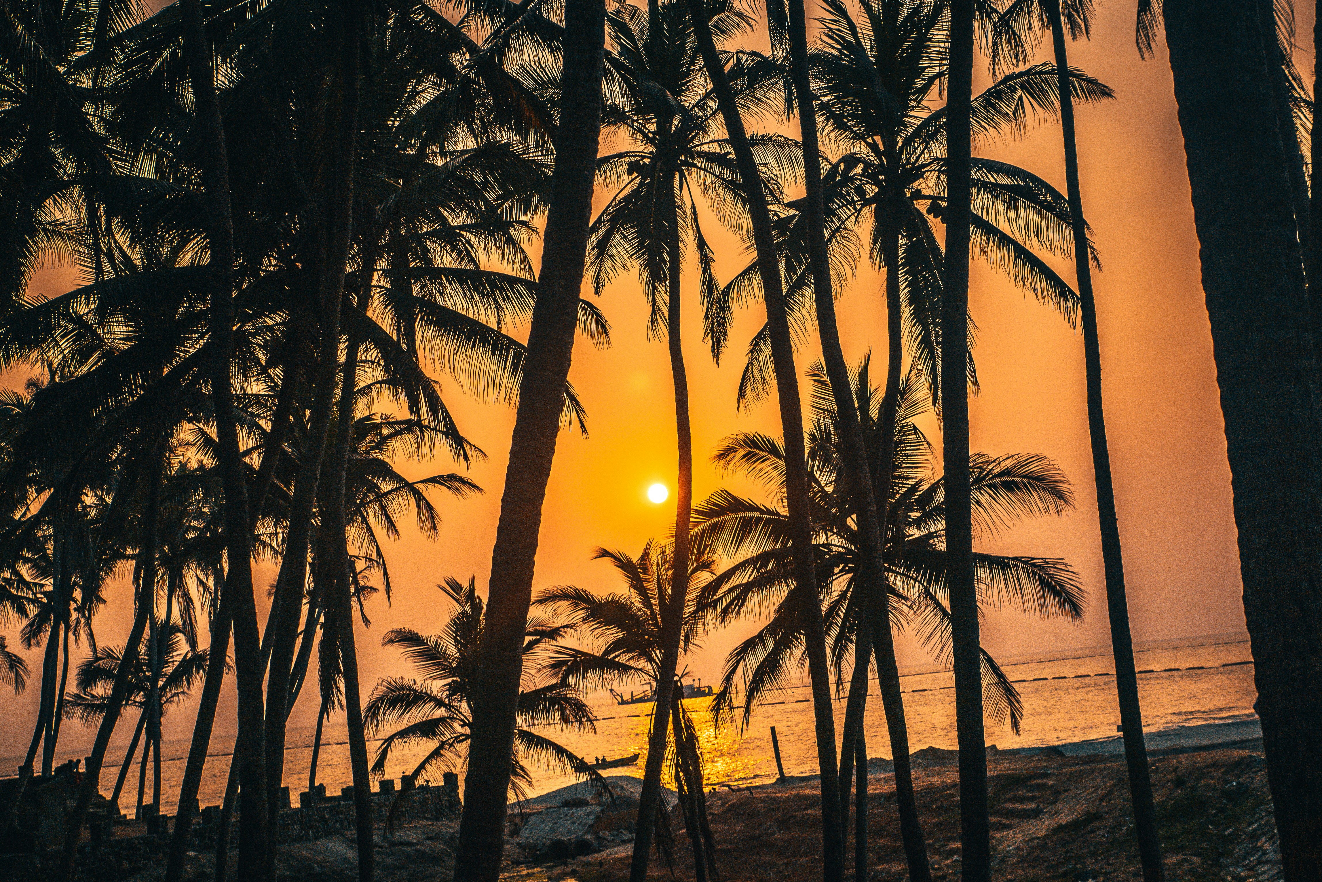 Photo by raimondklavins