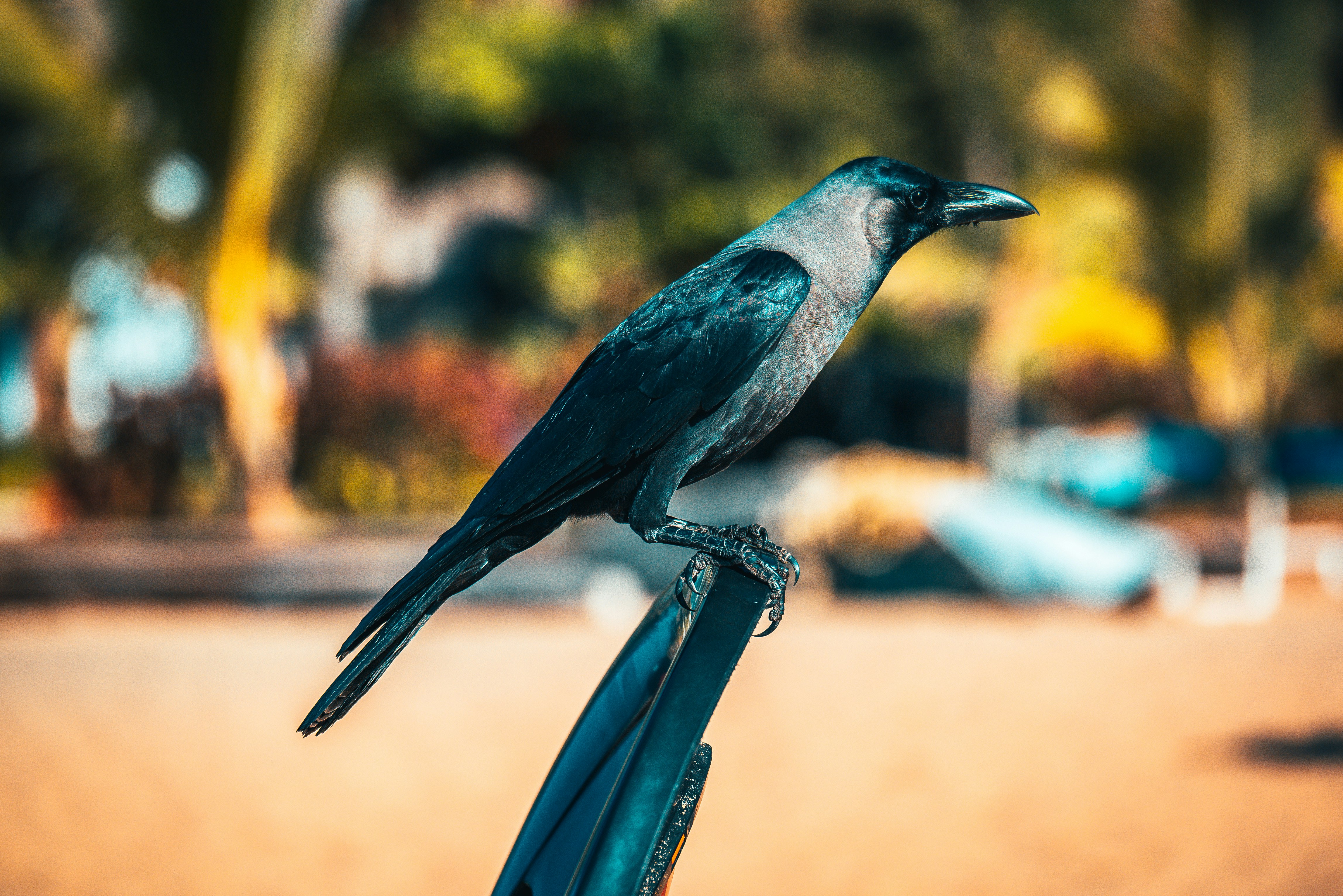 Photo by raimondklavins