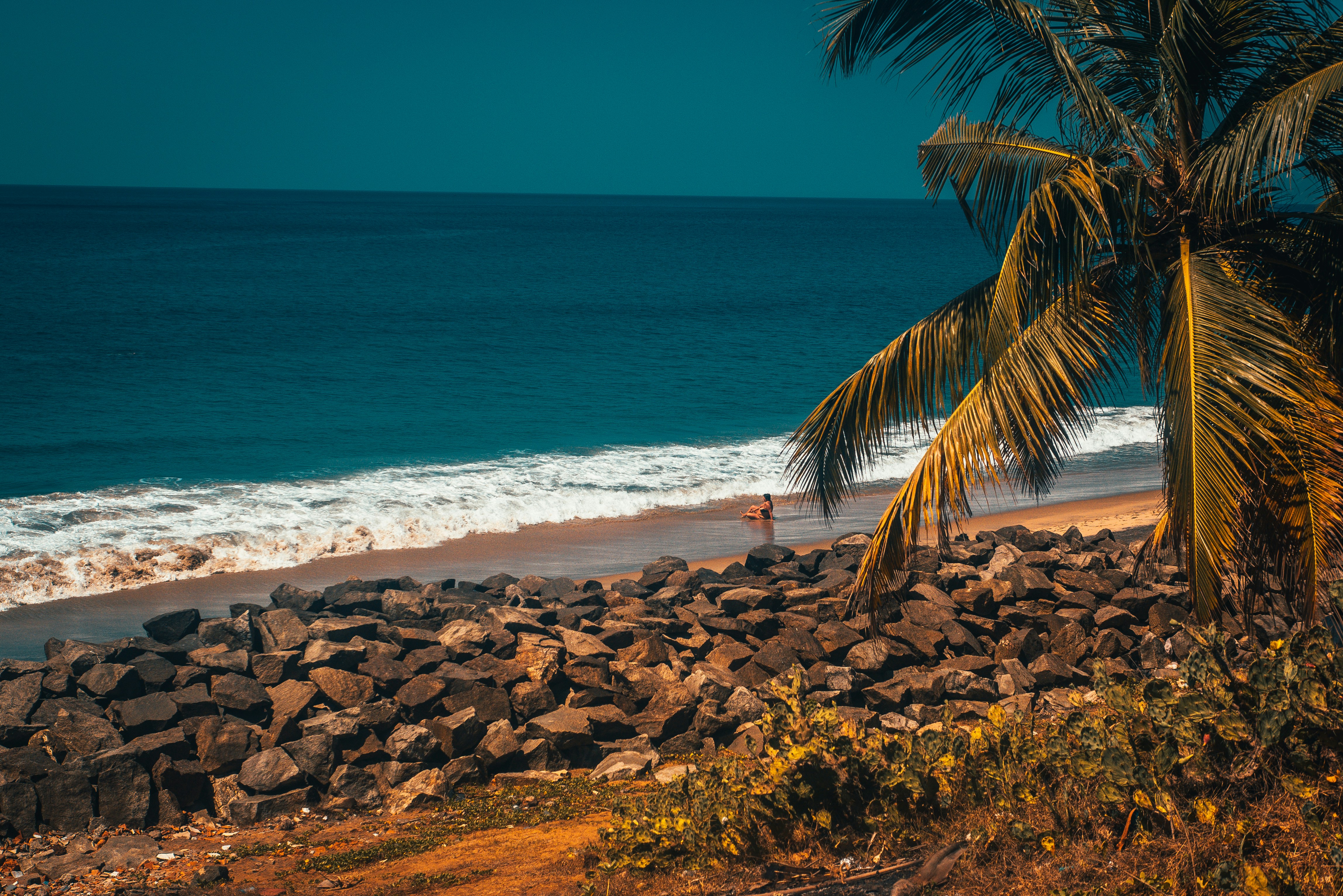 Ocean coast with waves and palm India Kerala