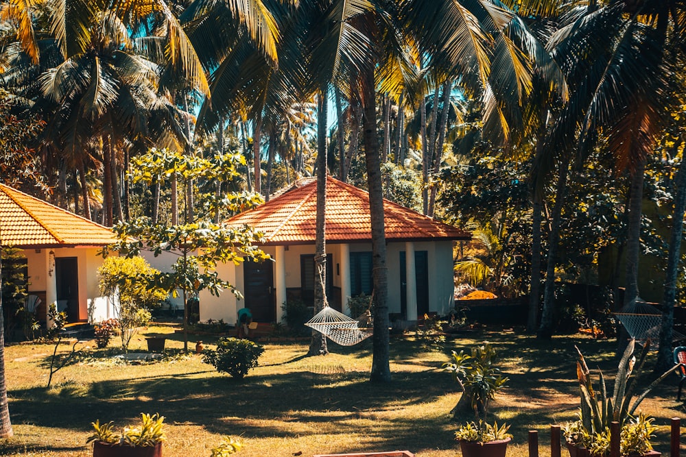 white and brown wooden house surrounded by palm trees