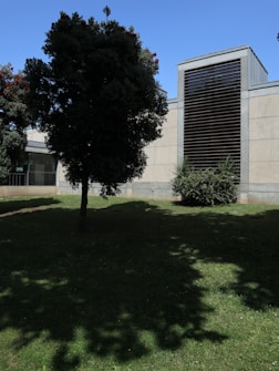 The image depicts a modern concrete building with a tall, narrow window featuring horizontal slats. In front of the building, there is a green lawn and a large tree with dark green foliage casting a shadow across the grass. The sky is clear and blue, indicating a sunny day.