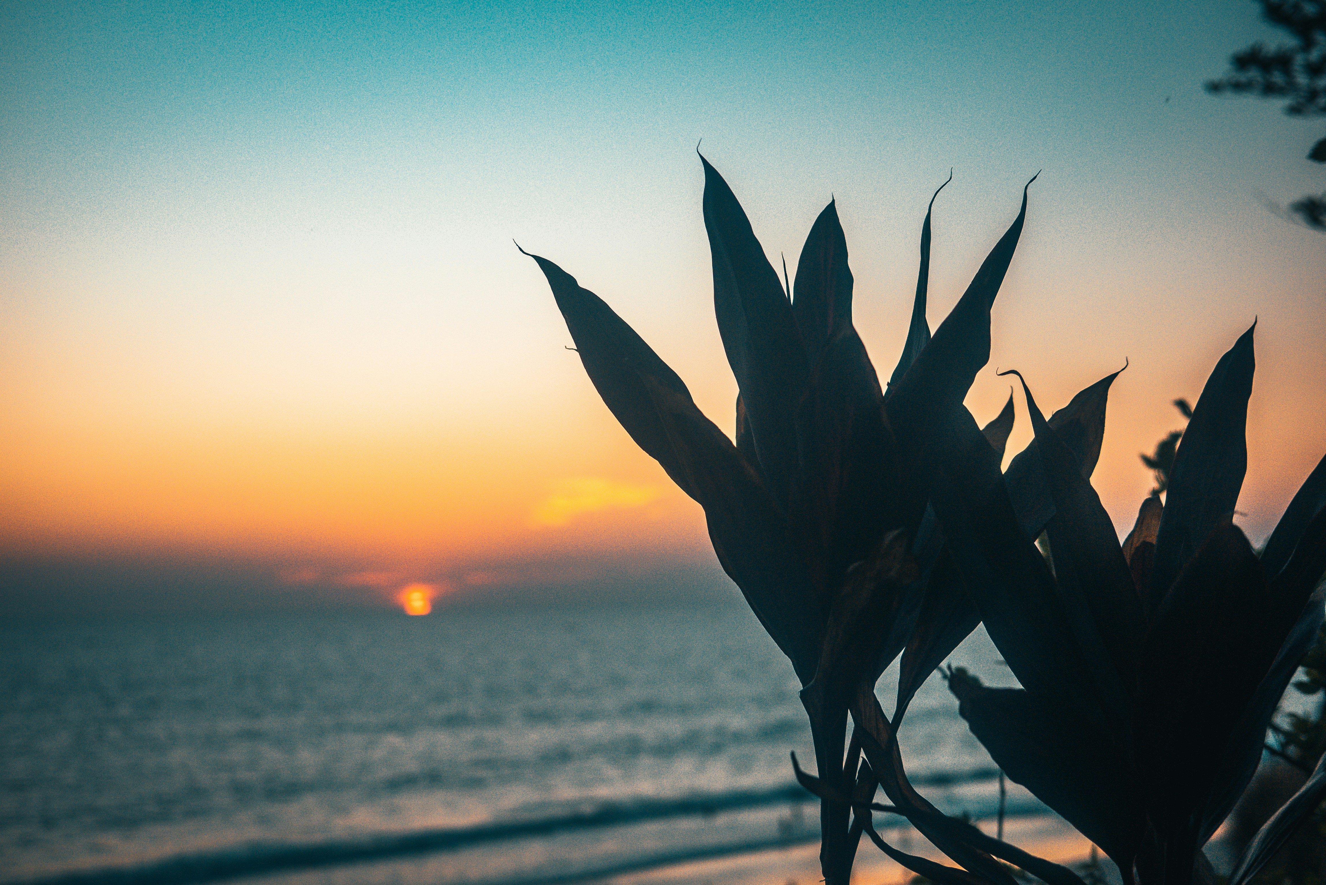 Photo by raimondklavins