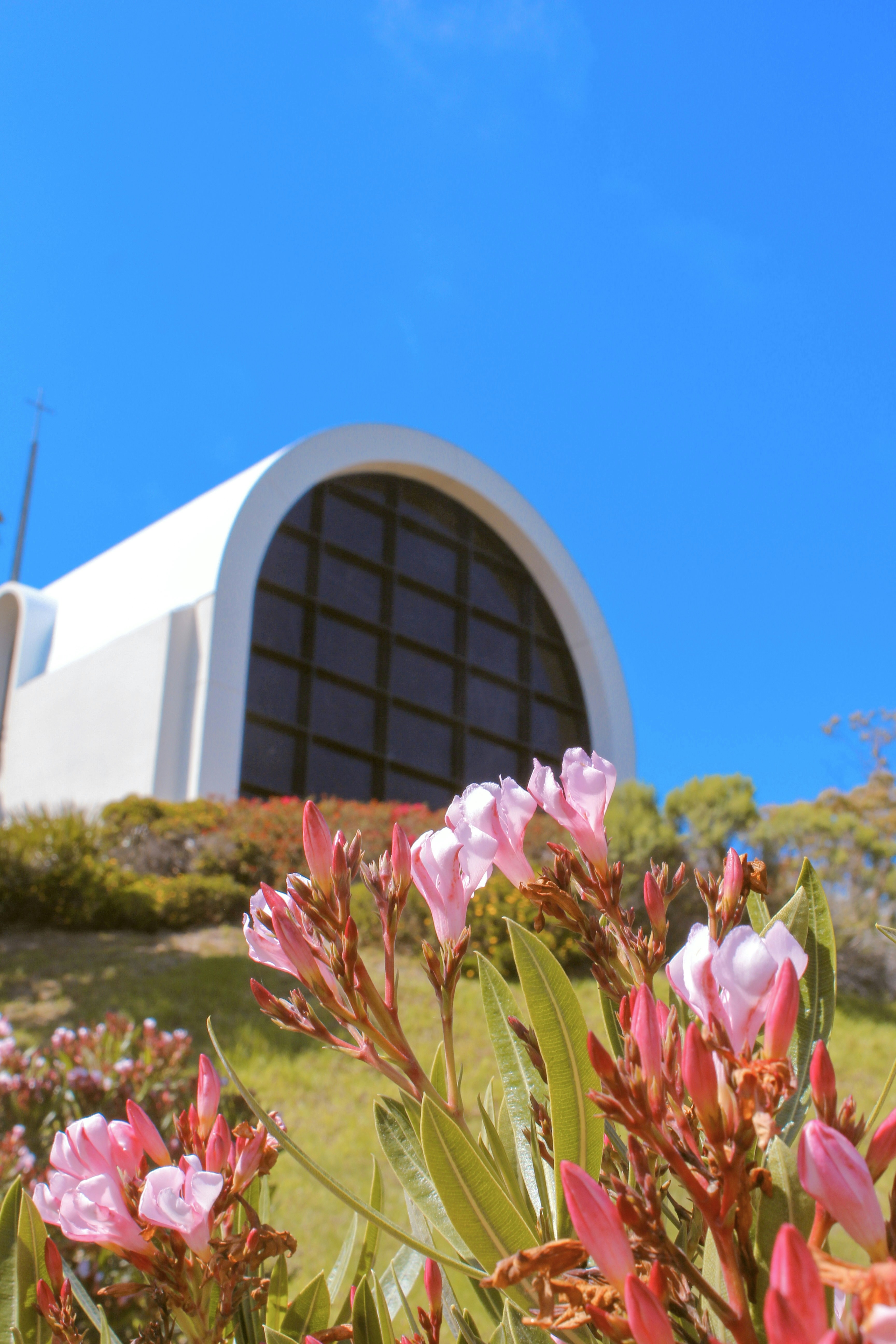 Photo by hesterqiang