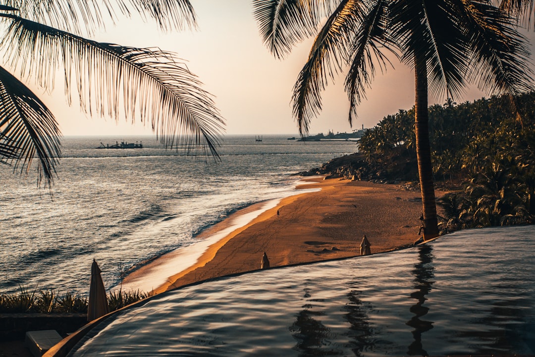 coconut palm tree near beach during daytime