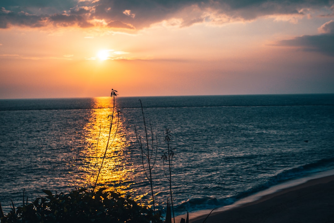 silhouette of person standing on seashore during sunset