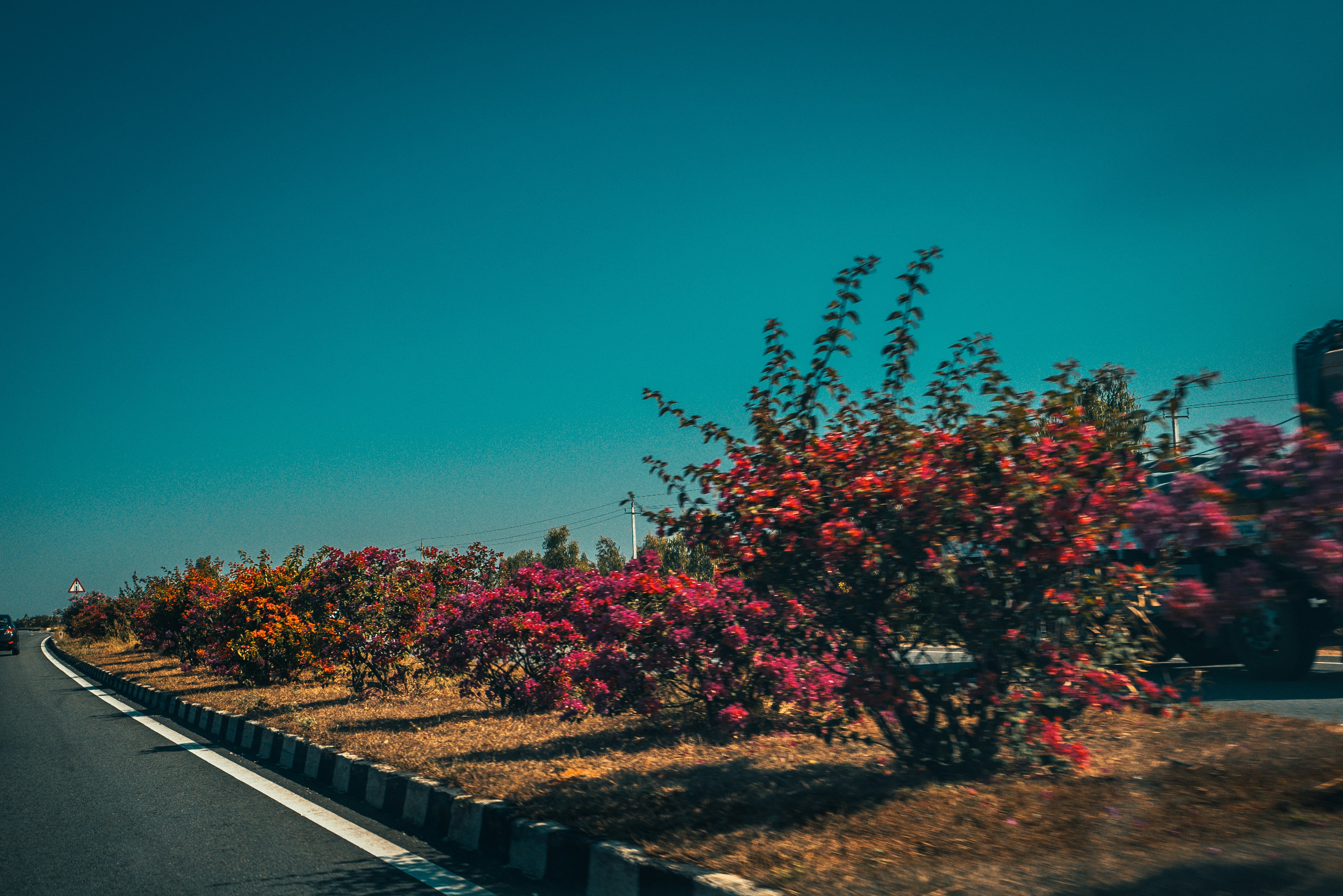 Photo by raimondklavins