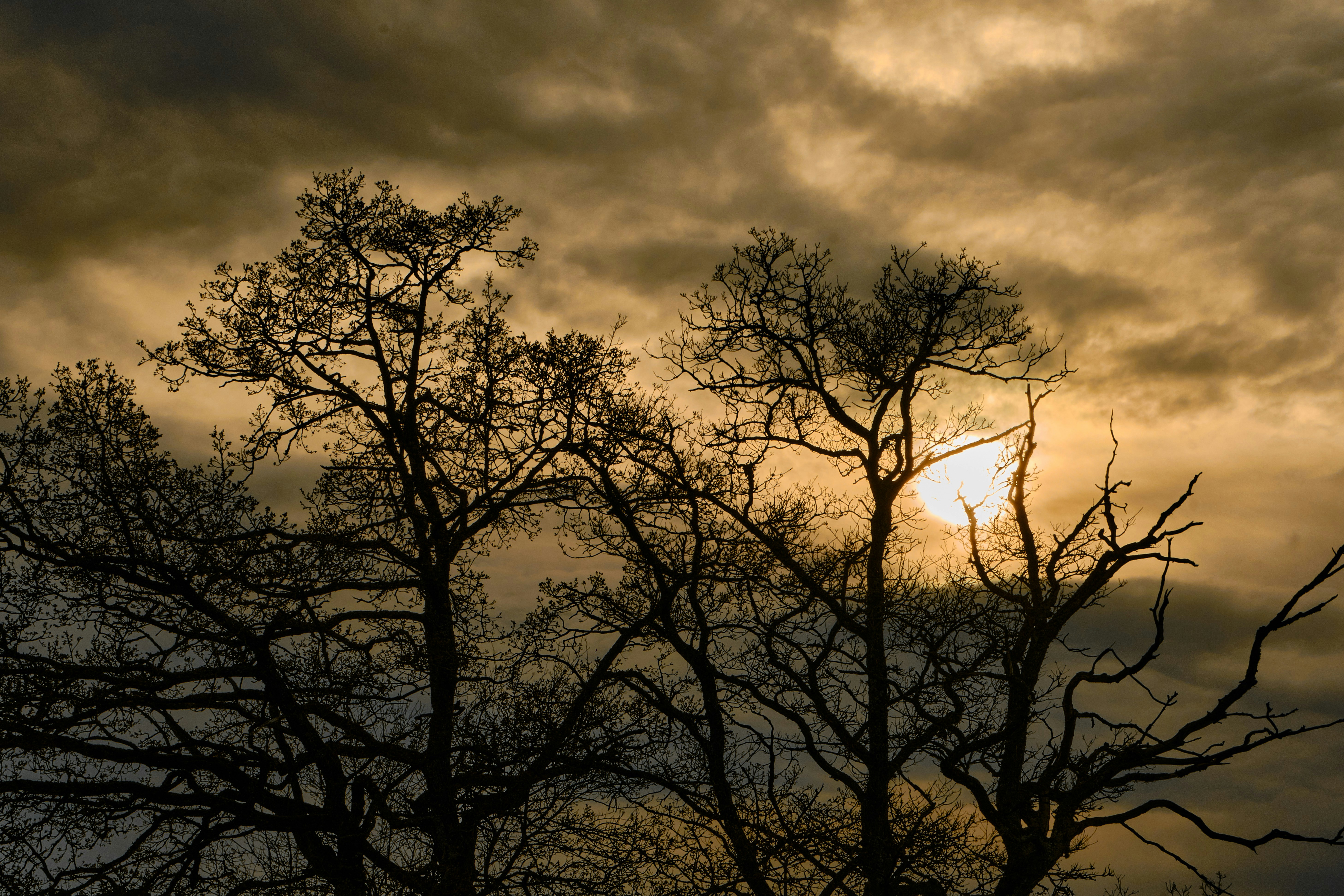 Photo by rolf_schmidbauer