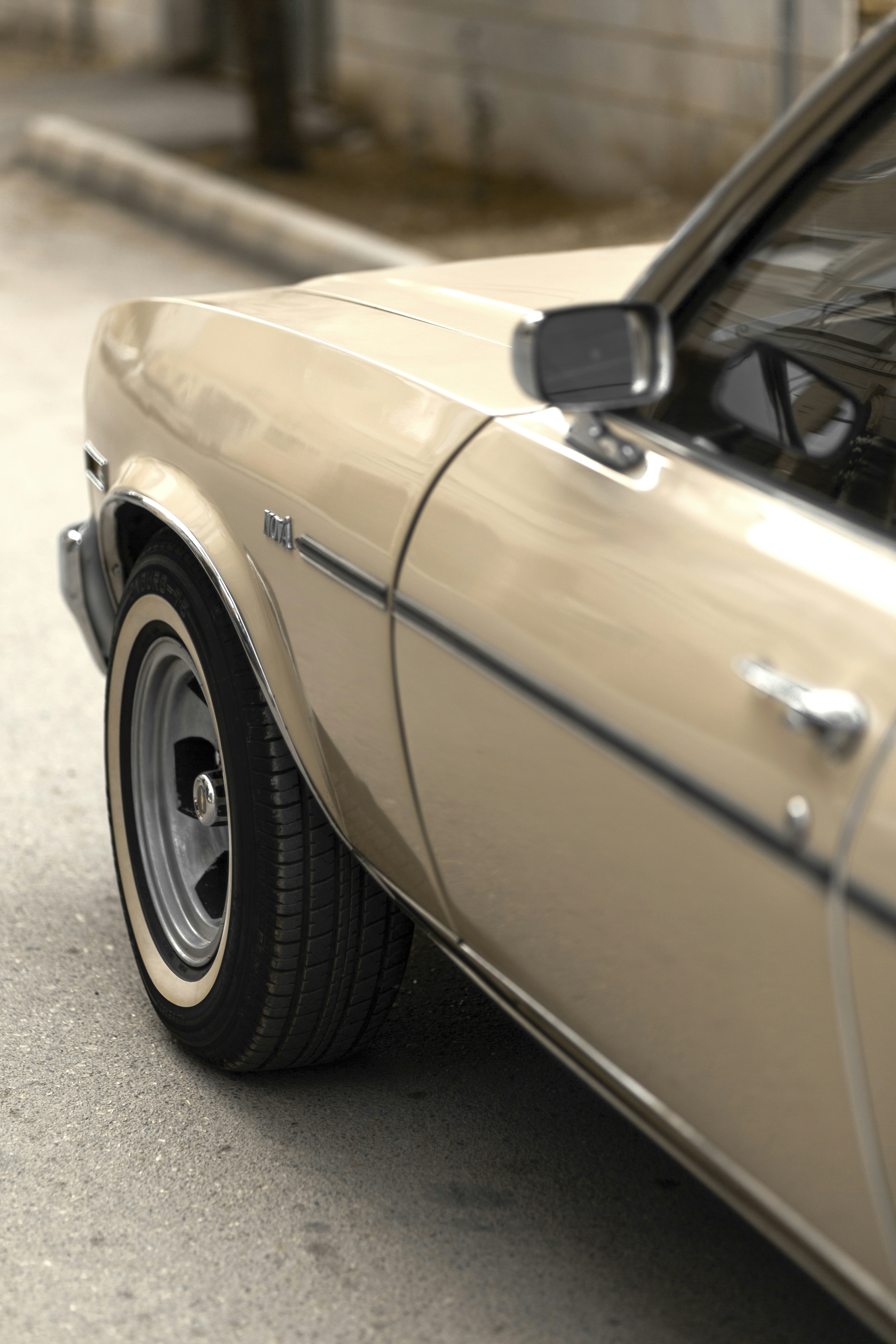 Photo by mohsenamerri