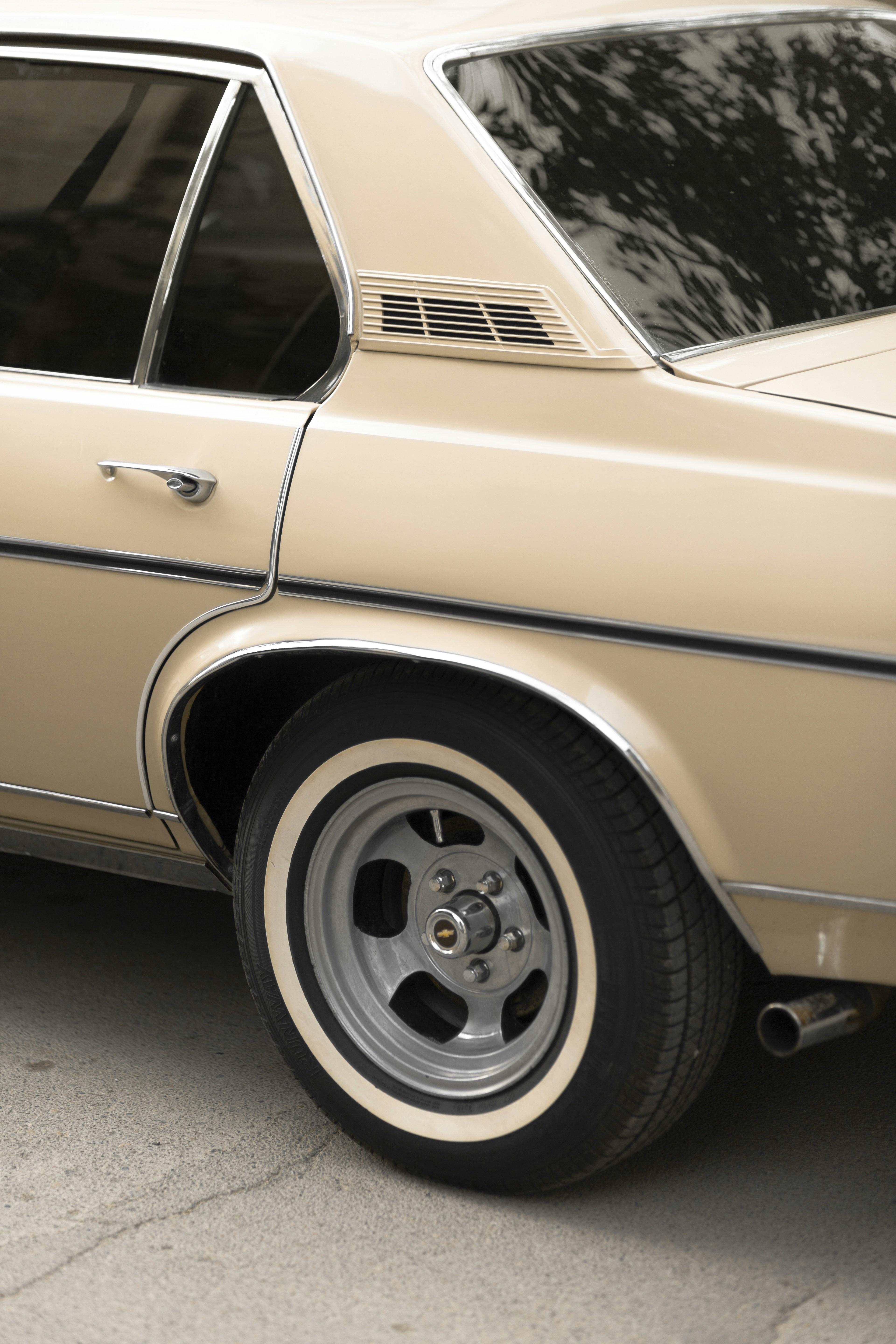 Photo by mohsenamerri