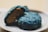 Two round blue cookies are placed on a white plate. One cookie is whole while the other is partially broken to reveal a golden brown interior. Both cookies are speckled with small white seeds on their surface.