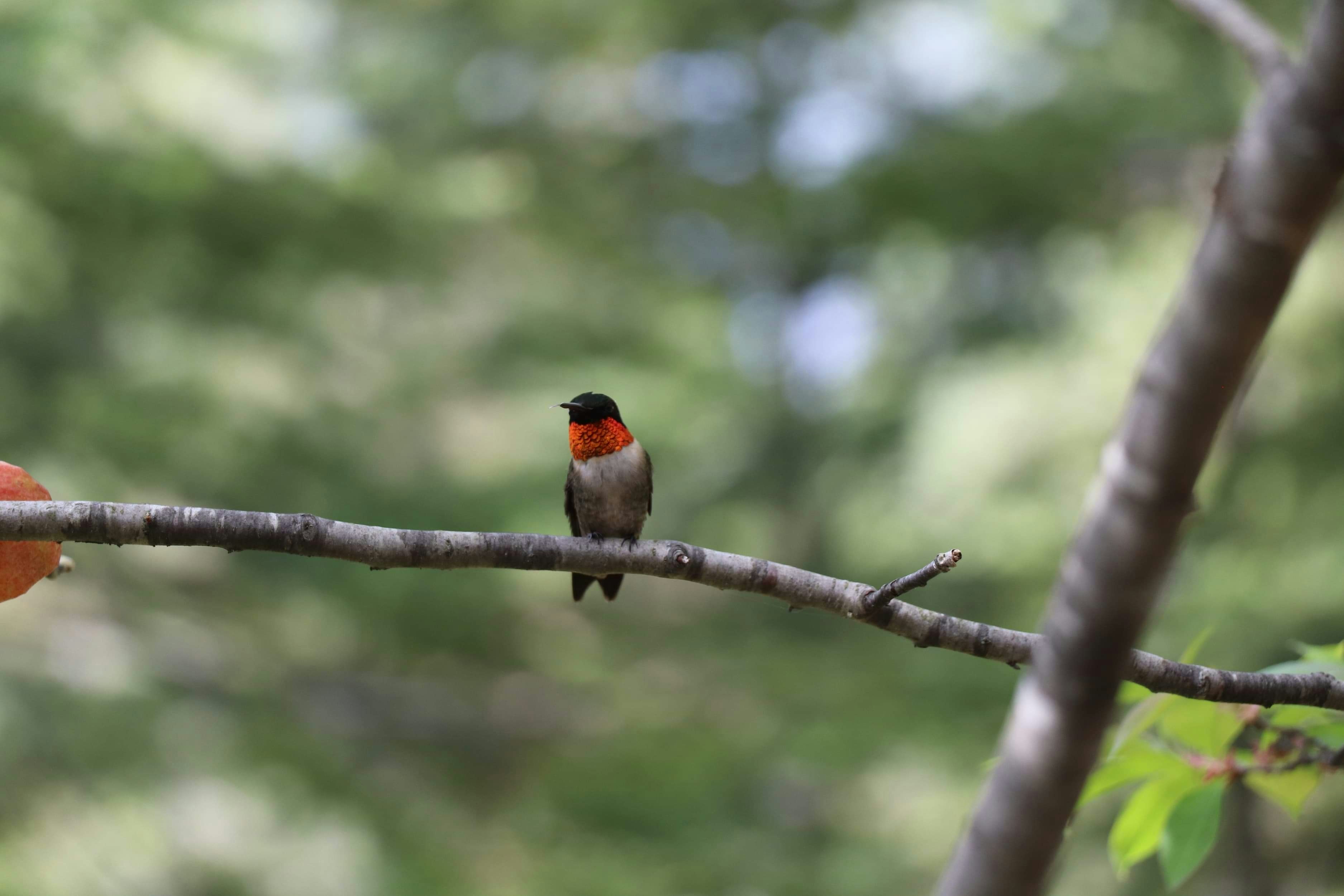 Photo by sandimagerart