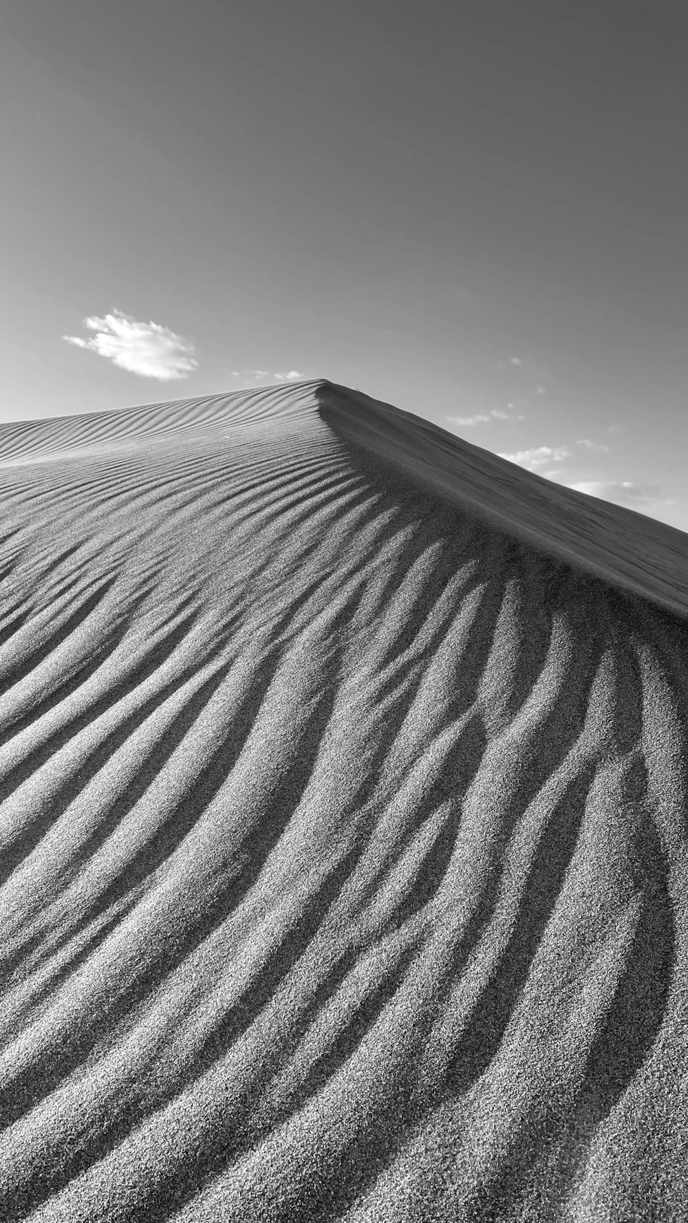 grayscale photo of sand dunes