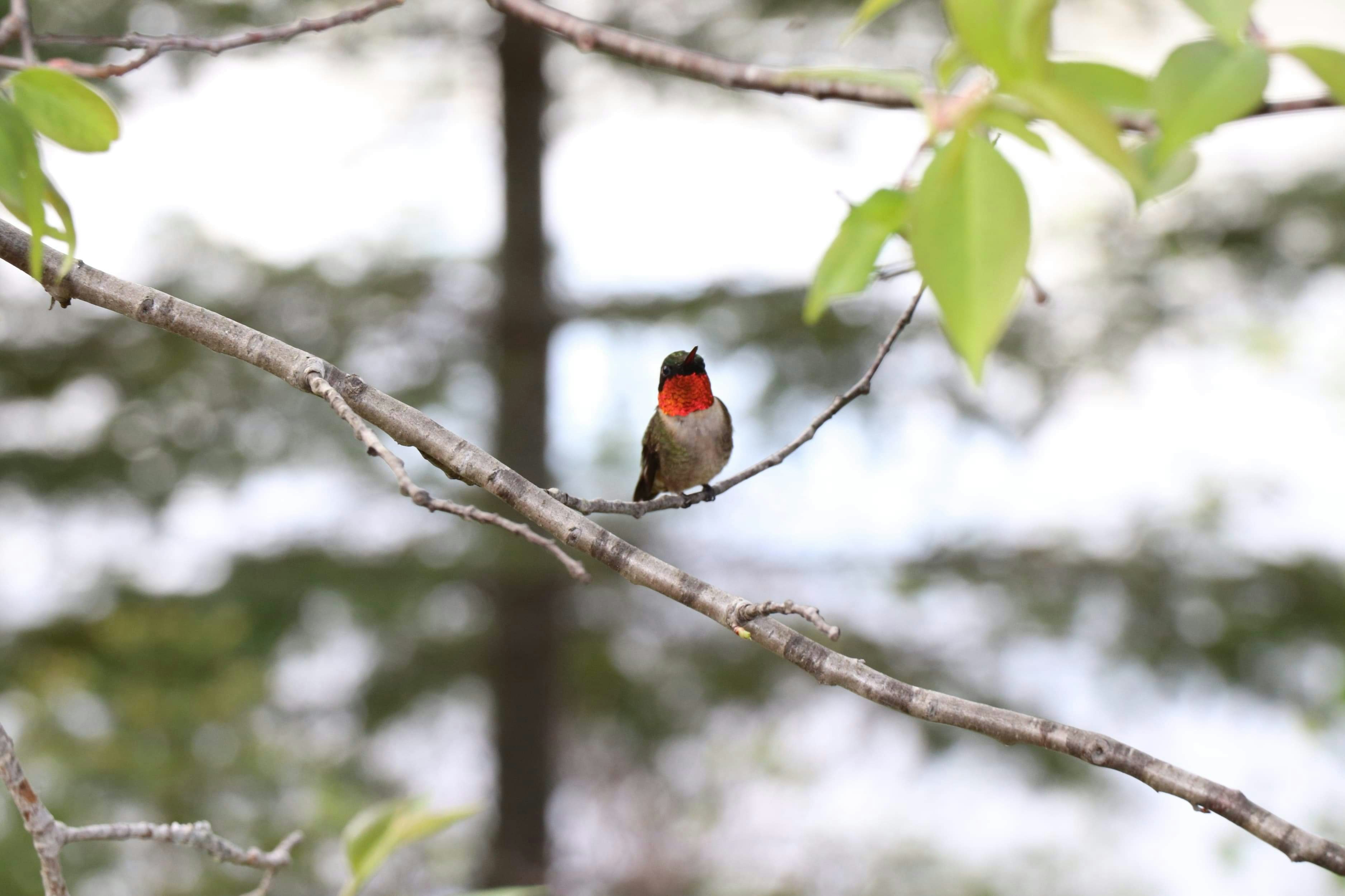 Photo by sandimagerart