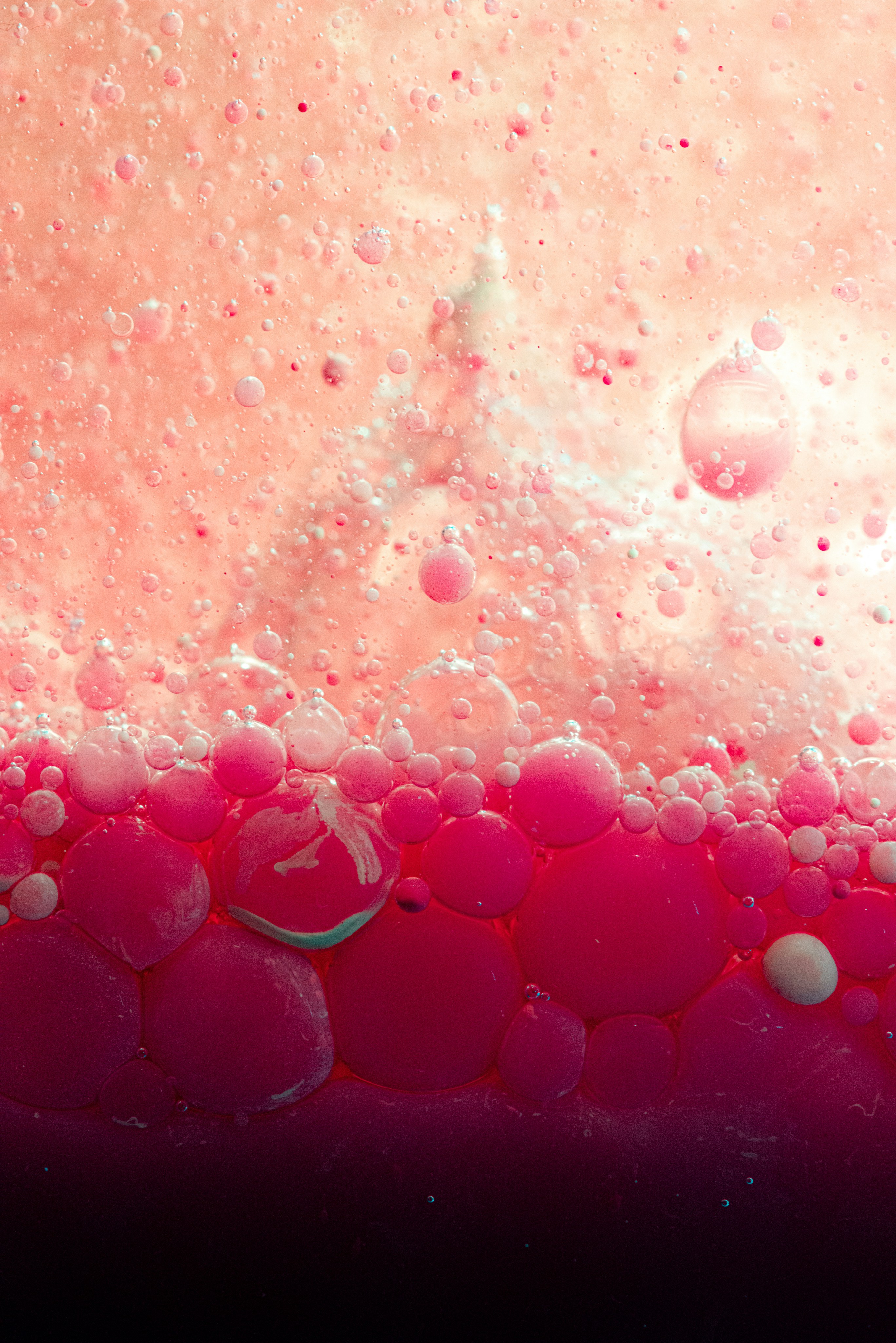 Photo by solenfeyissa