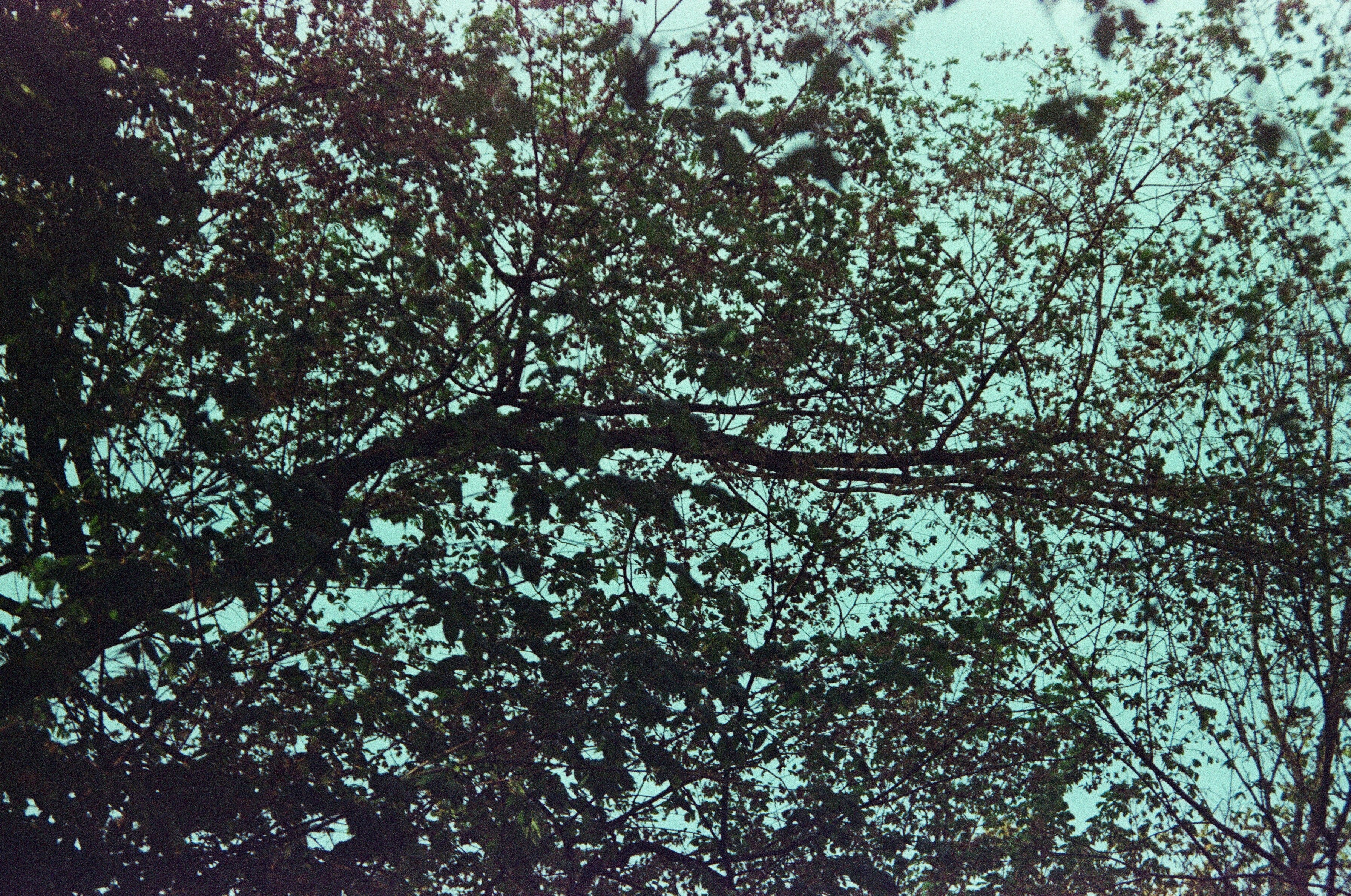 Photo by brianasarejr