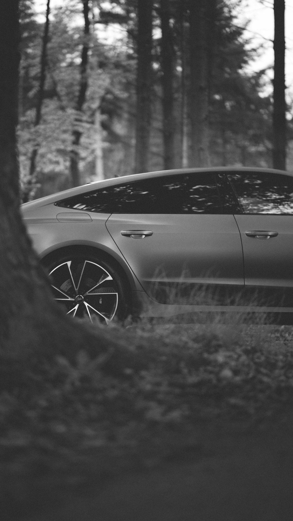 grayscale photo of car in forest