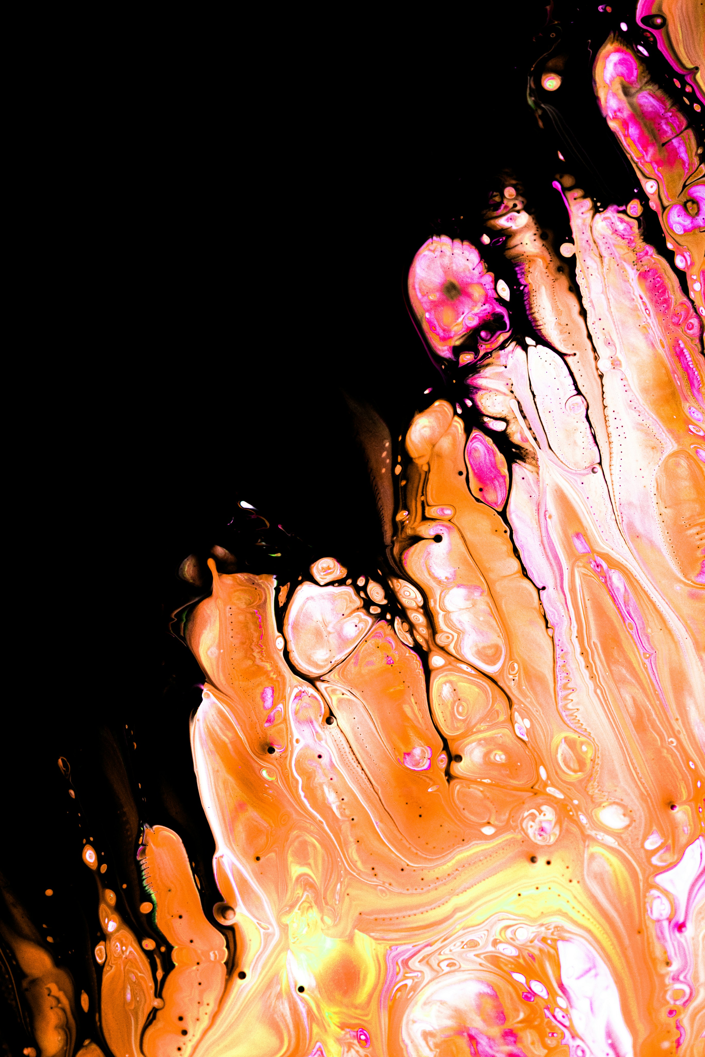 Photo by solenfeyissa