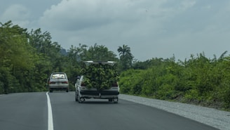 A convoy of cargo trucks navigating a dusty rural route surrounded by lush greenery.