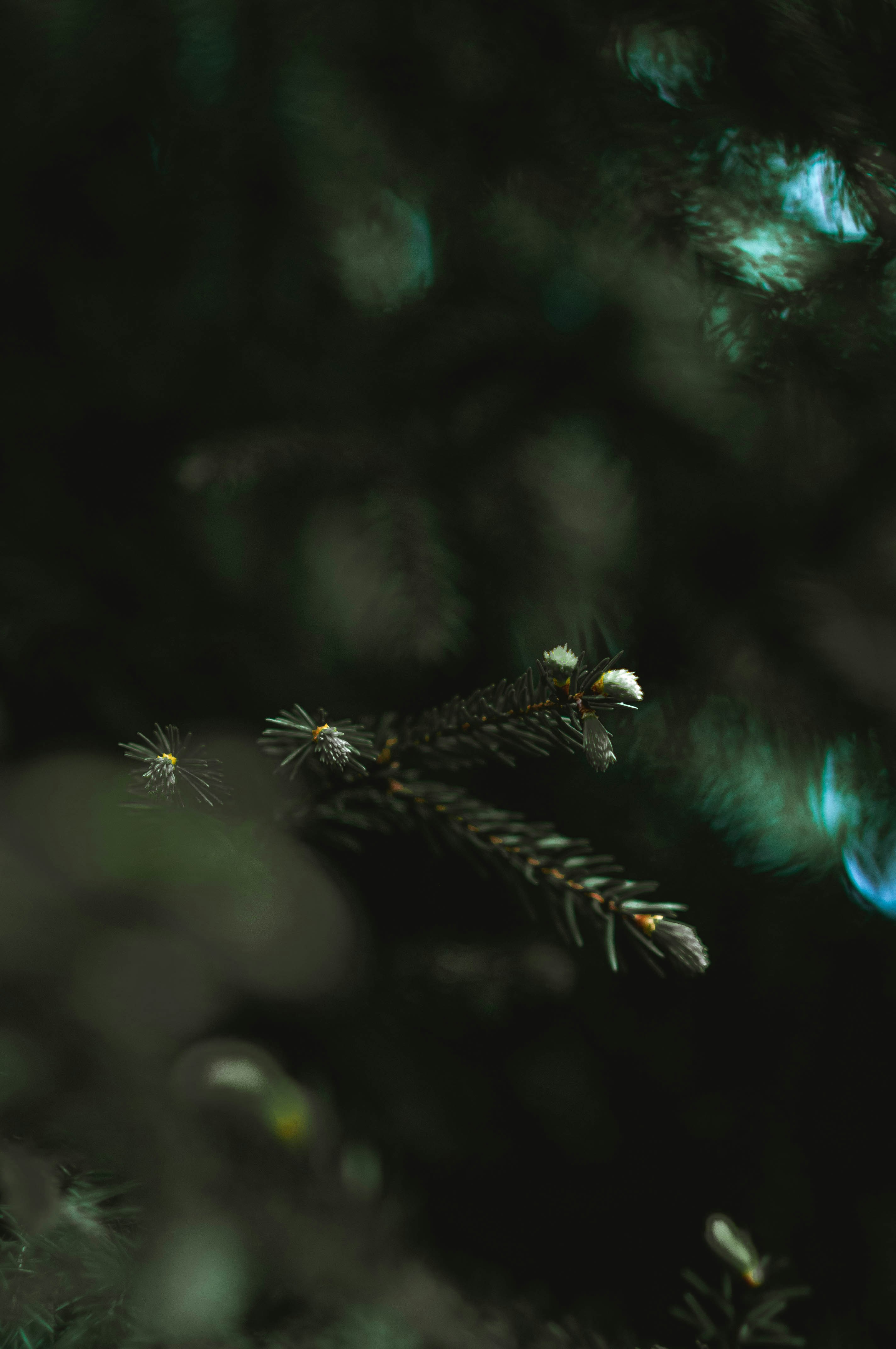 On-logical argument Films Property - How it Operates