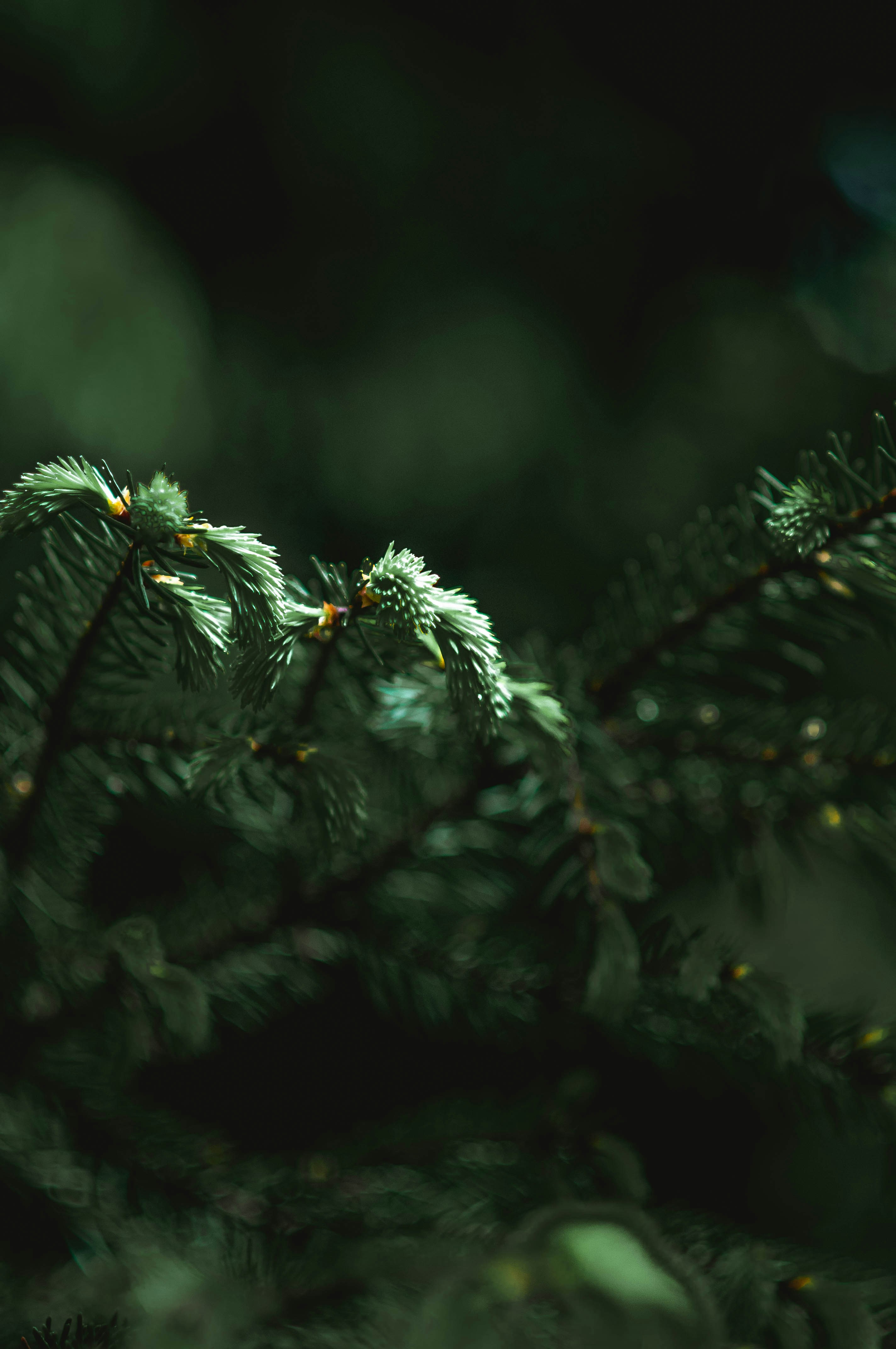 Photo by rebekakosmane