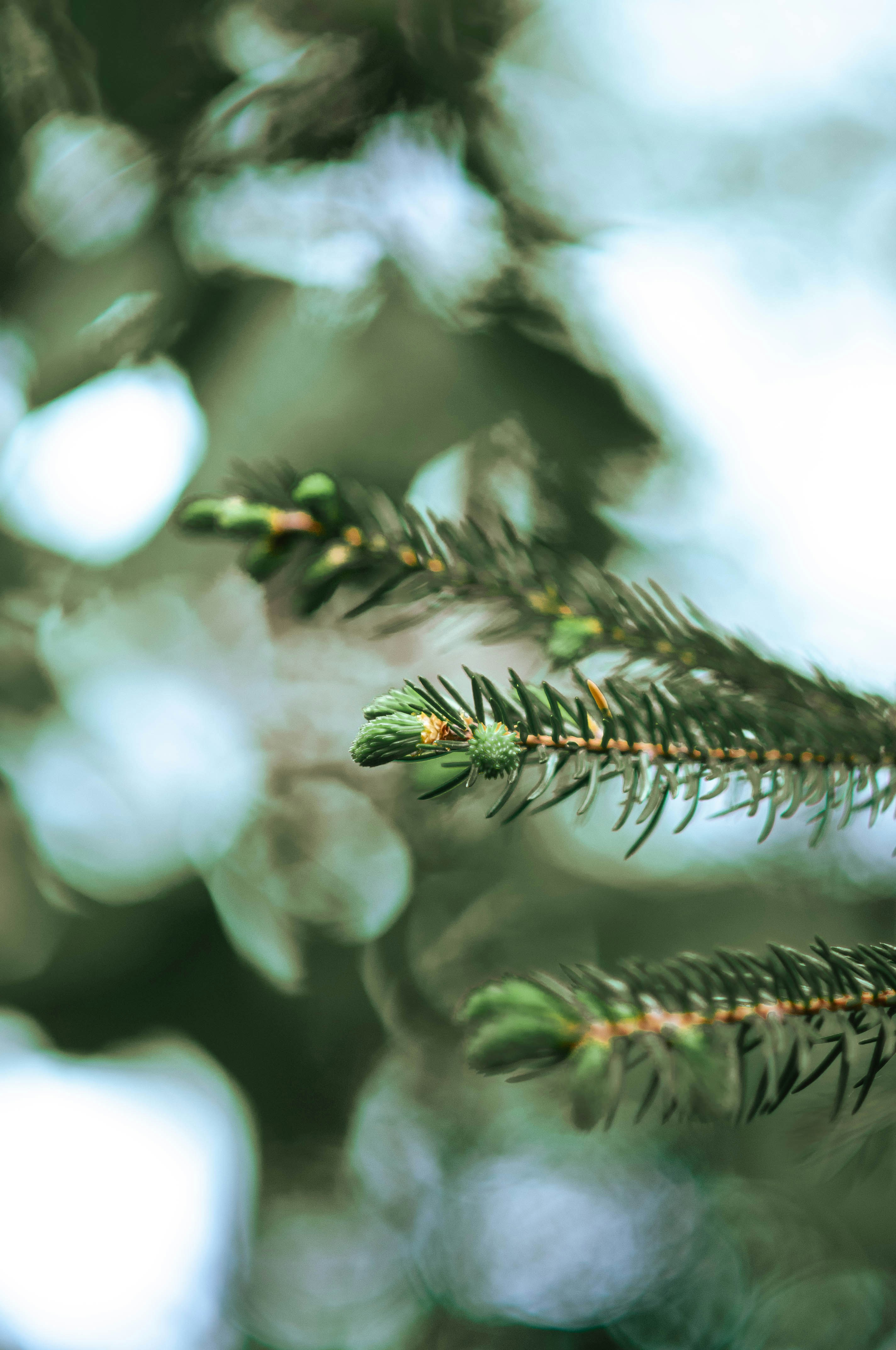 Photo by rebekakosmane