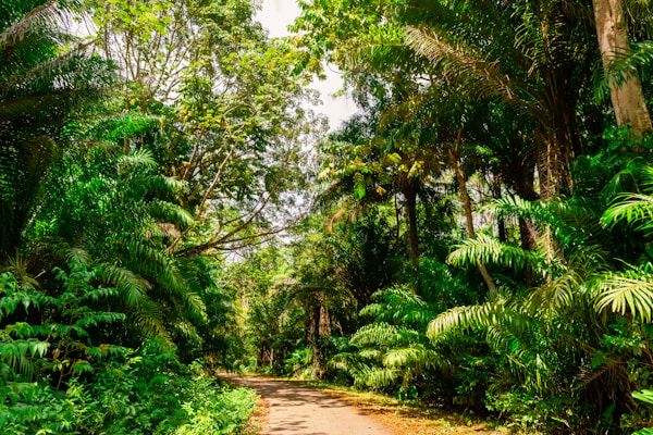 Trinidad and Tobago: Exploring Culture and Traditions