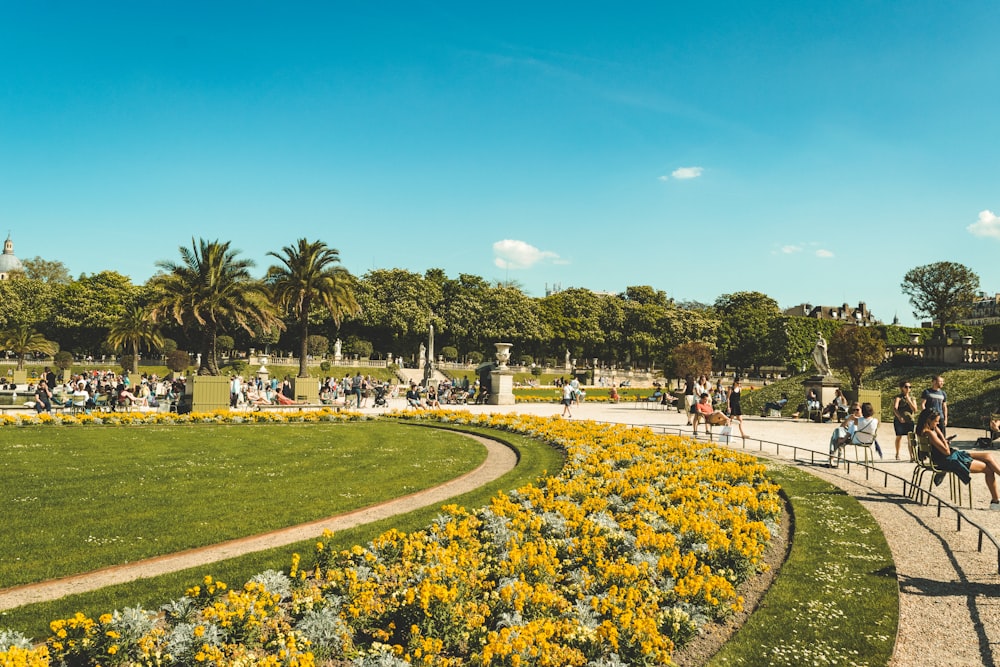 people walking on park during daytime