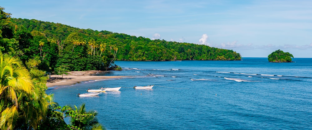 white boat on sea shore during daytime