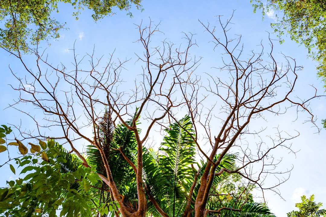 Top 7 Nature Trails for Solo Senior Travelers in the Caribbean - Ba… — Top 7 Nature Trails for Solo