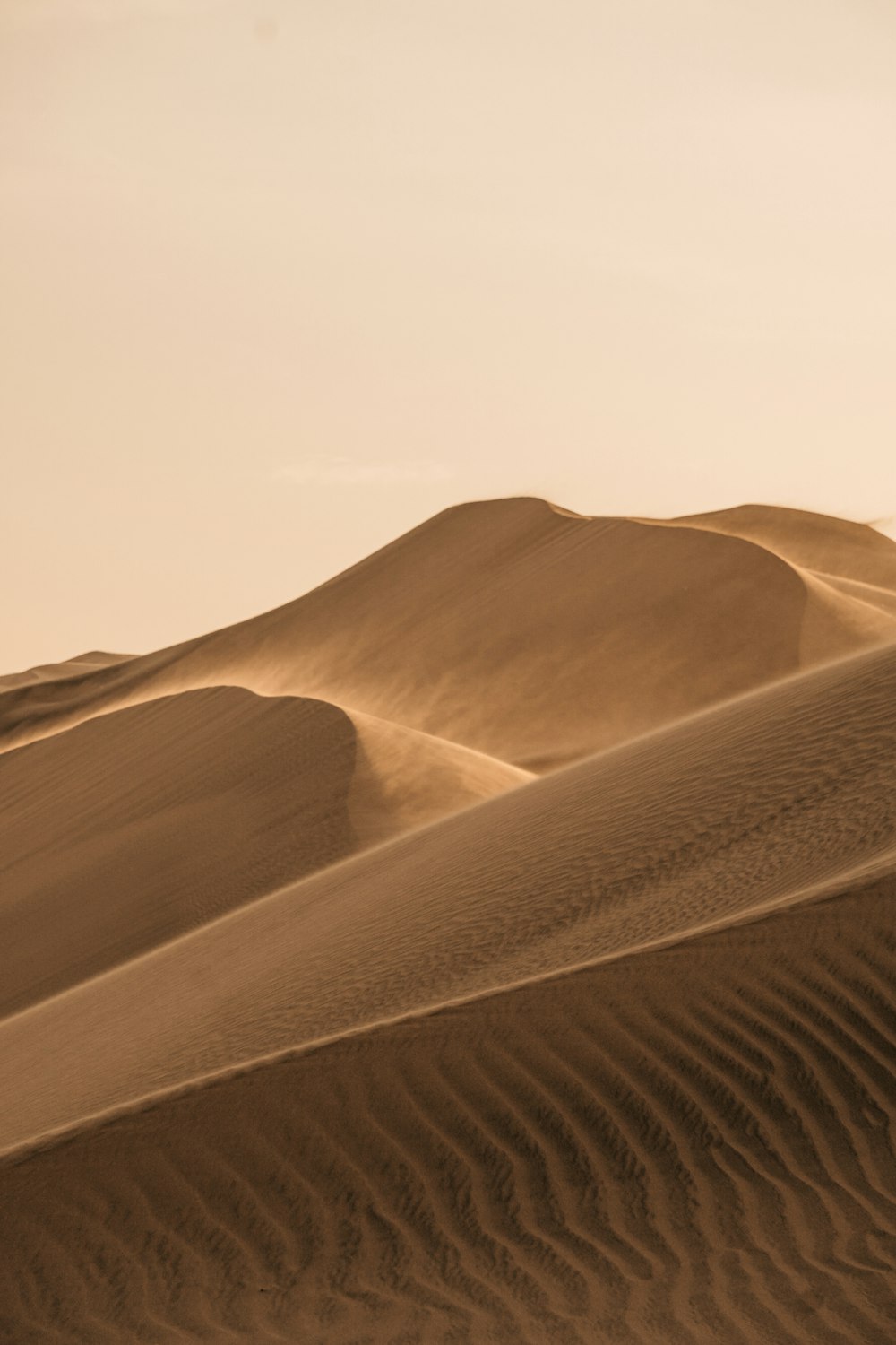 dunas de arena marrón bajo el cielo blanco
