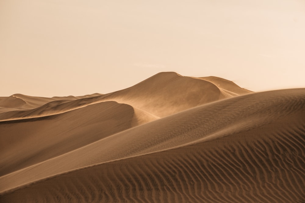 昼間の白い空の下に広がる茶色い砂丘