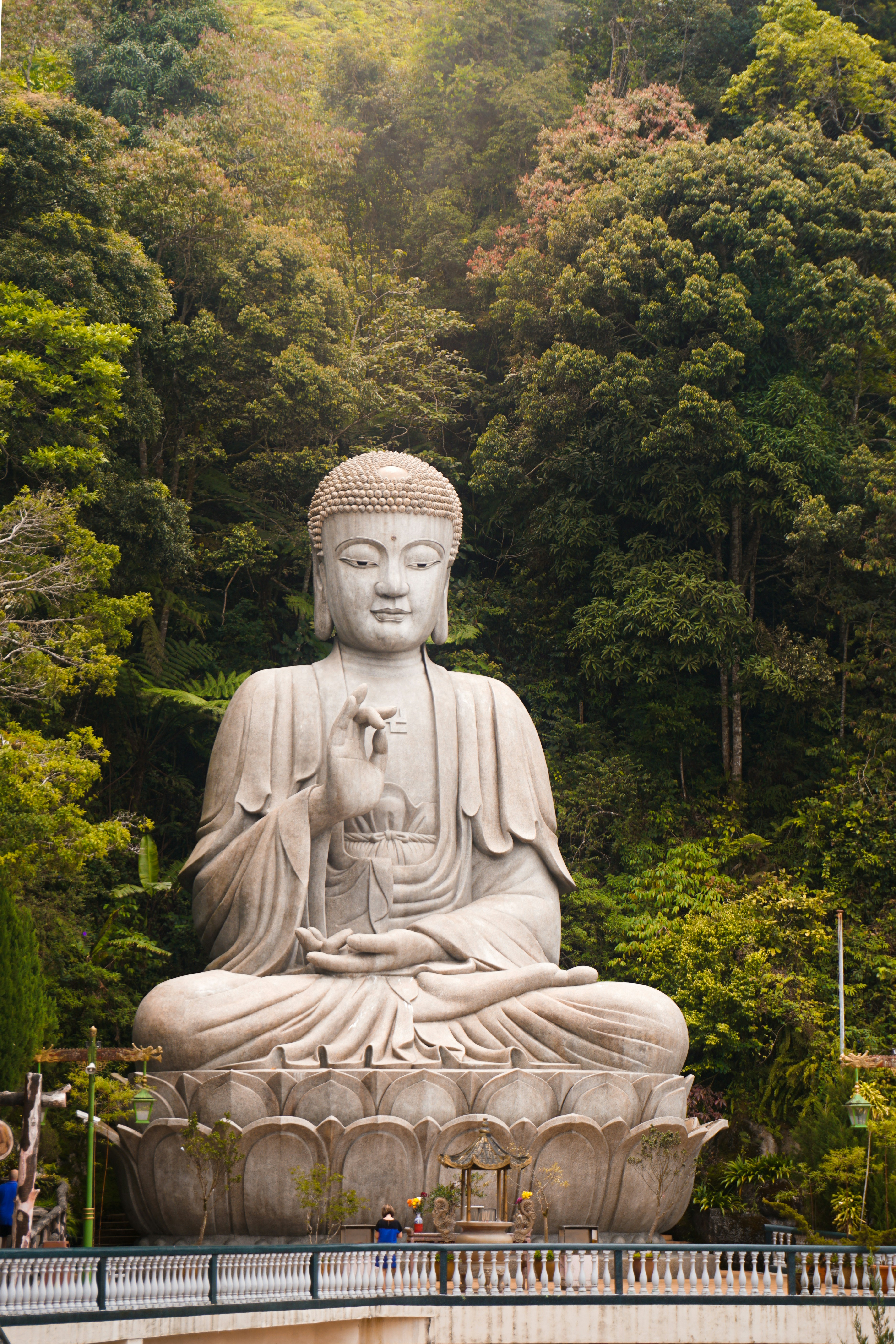 Photo by afterosprey