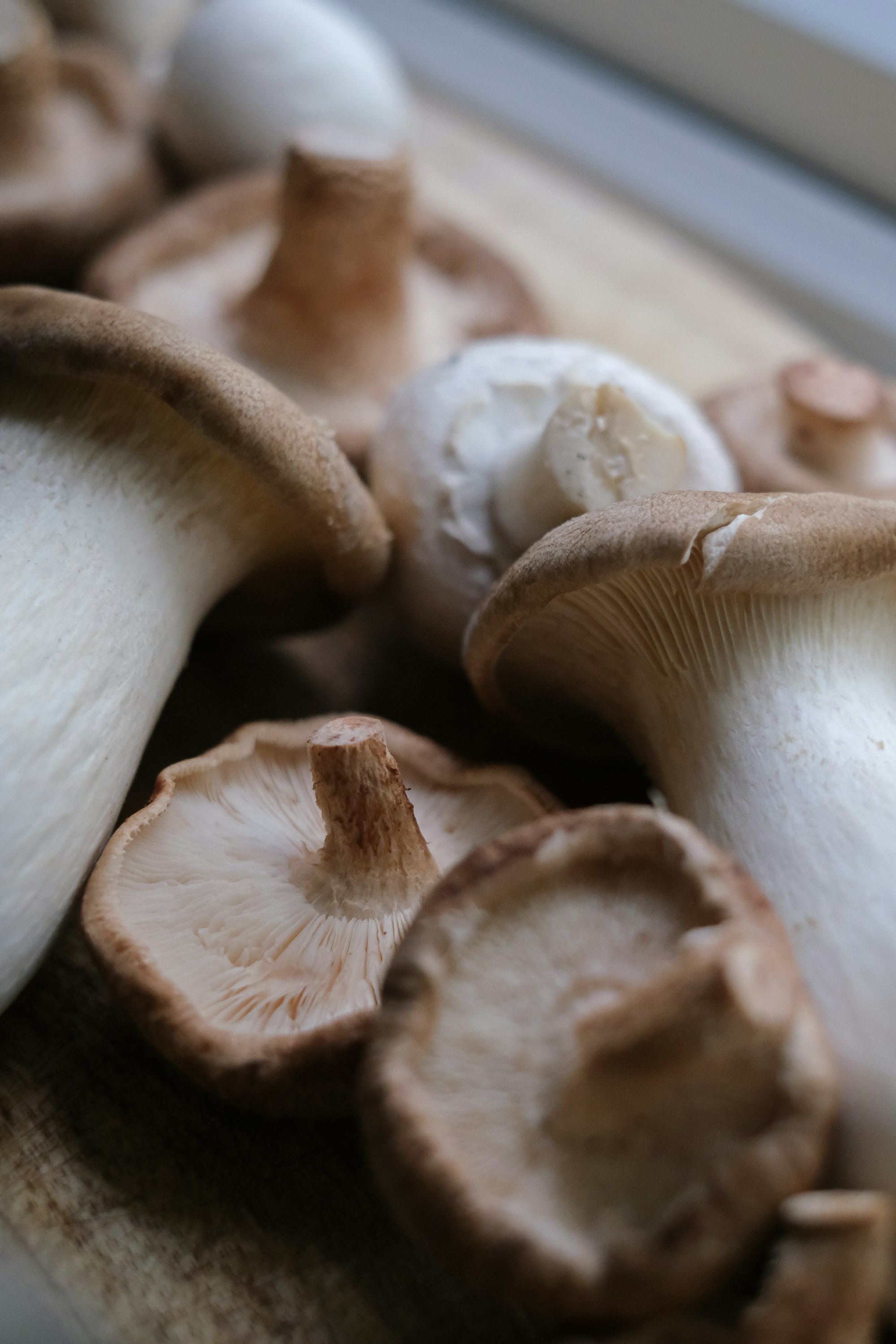 Mushroom Sales: a Recession Indicator