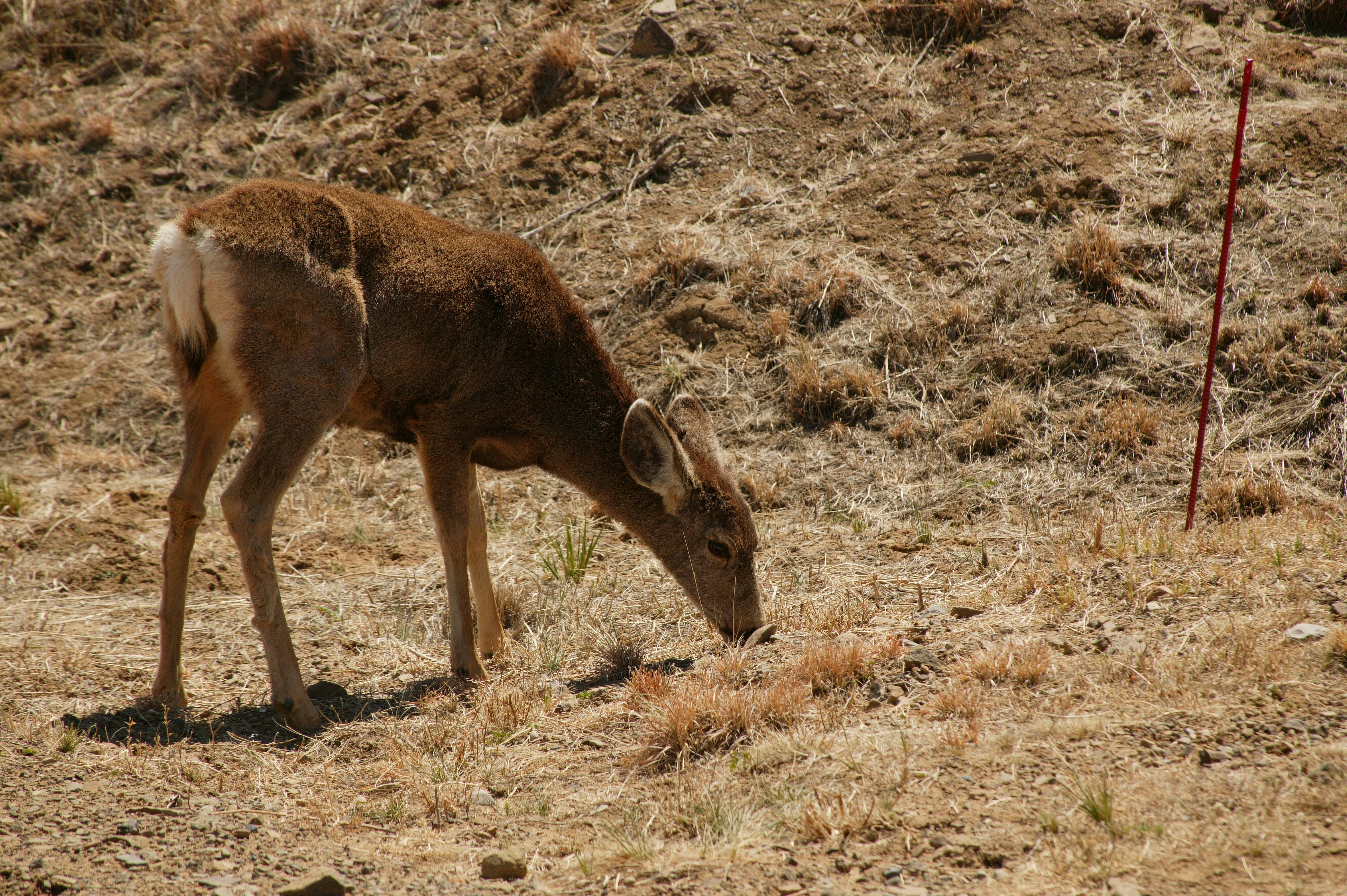 Photo by beltzbusters