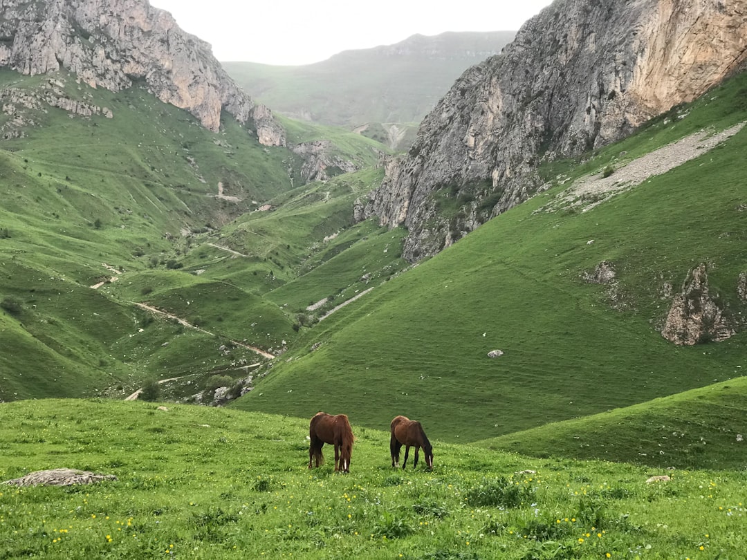 Ecoregion photo spot Tavush Aygut