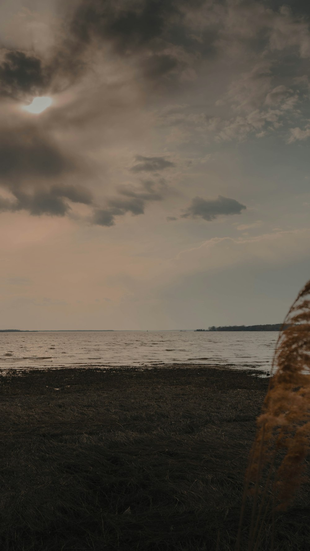 ocean under cloudy sky during daytime