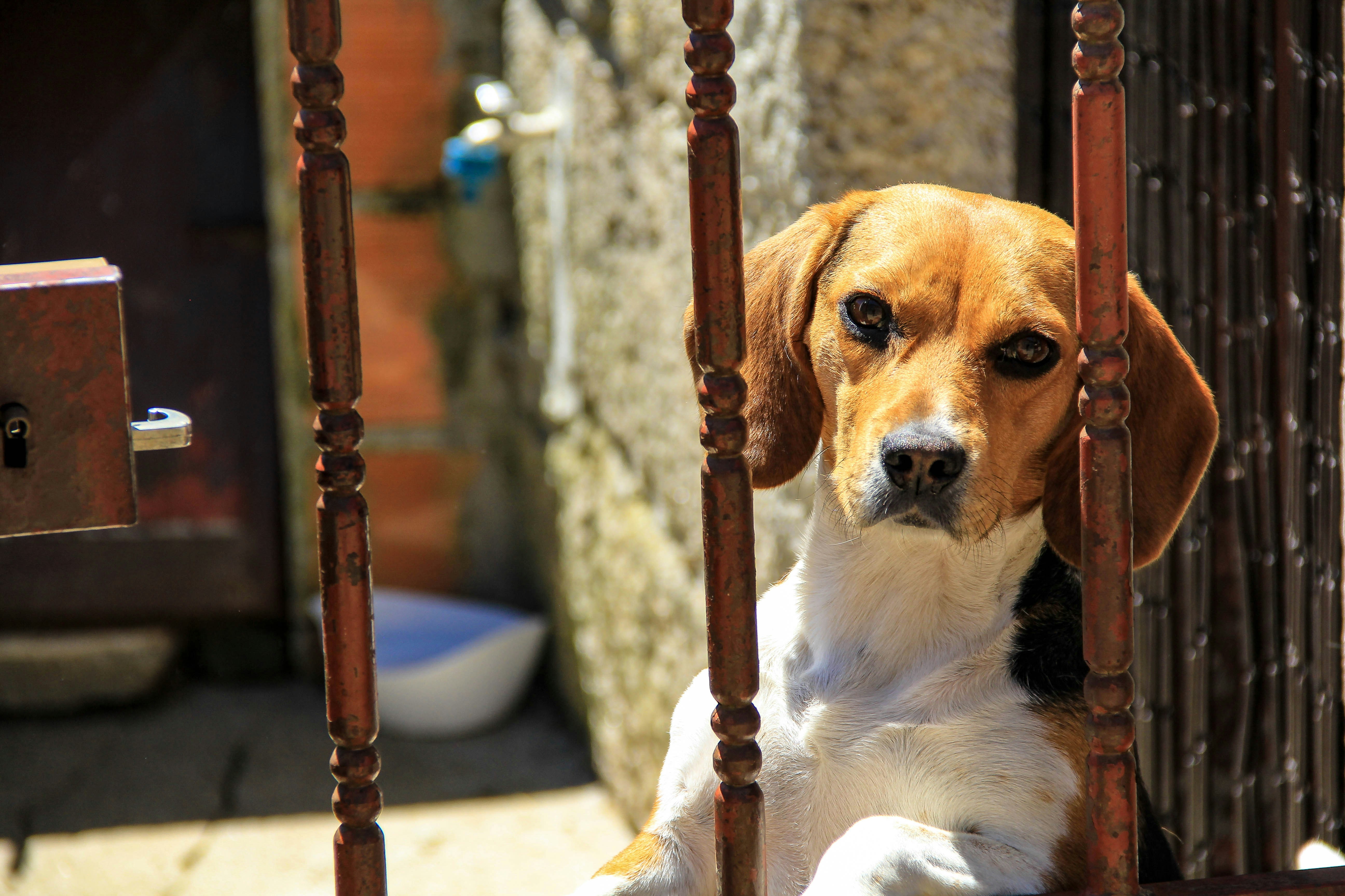 Photo by franciscofrias77