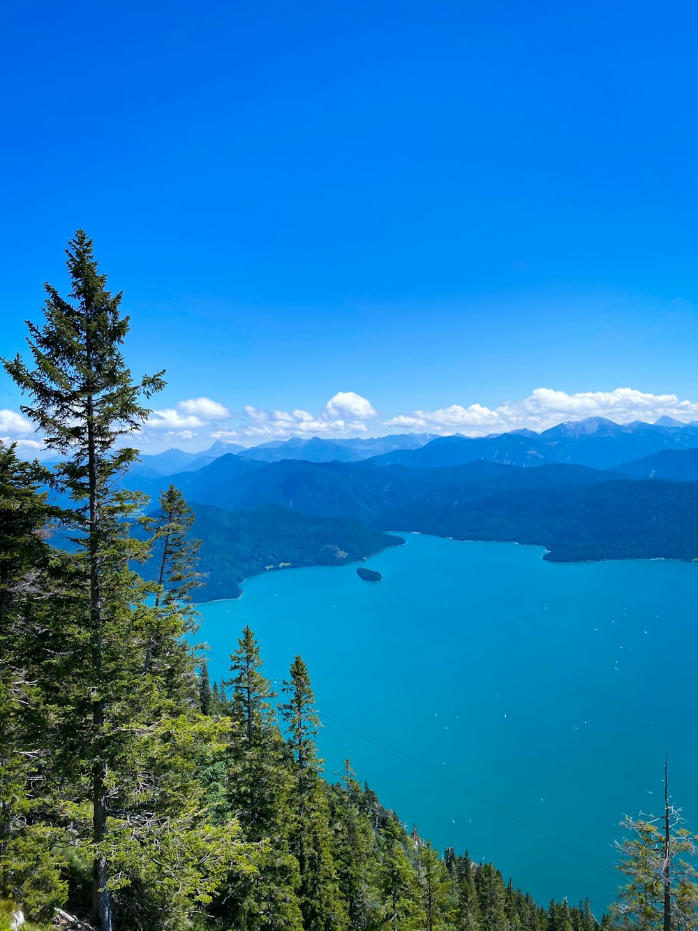 arbres verts près du lac sous le ciel bleu pendant la journée