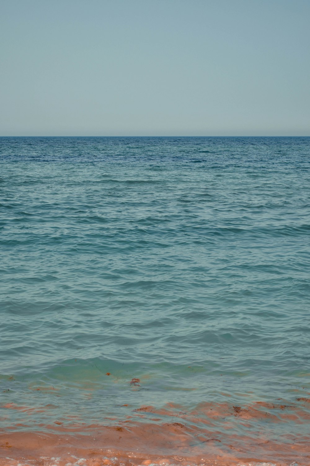 person in water during daytime