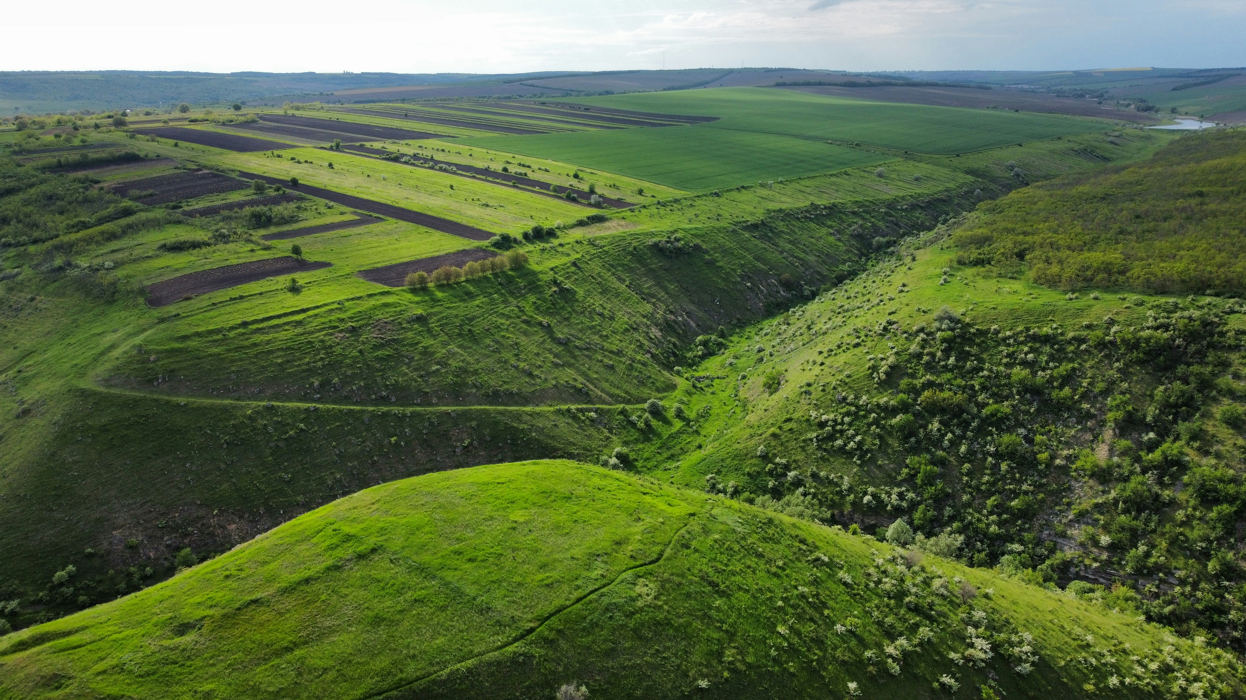 Photo by reloadworld4dreamers