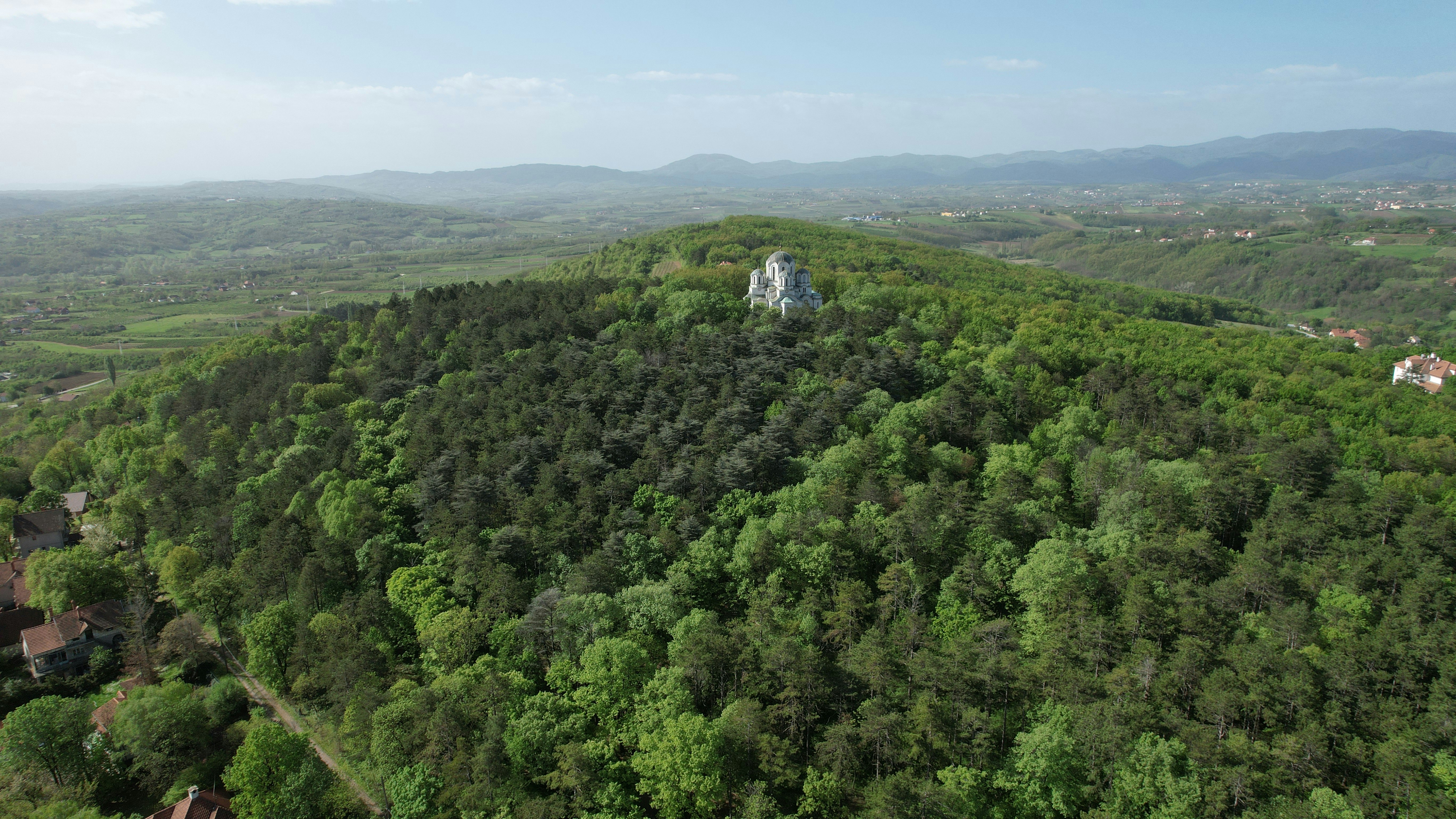 green trees on mountain during daytime