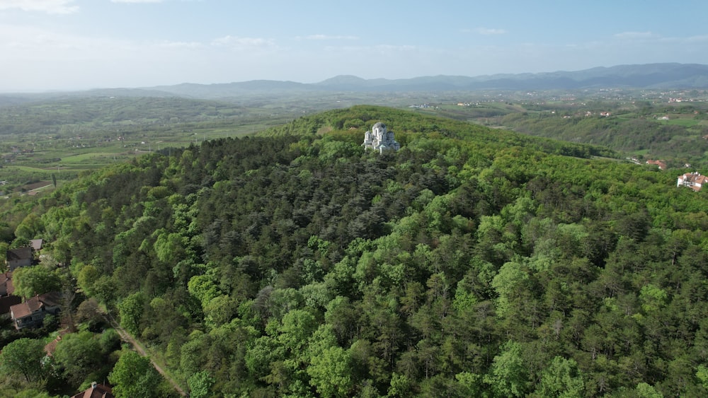 green trees on mountain during daytime