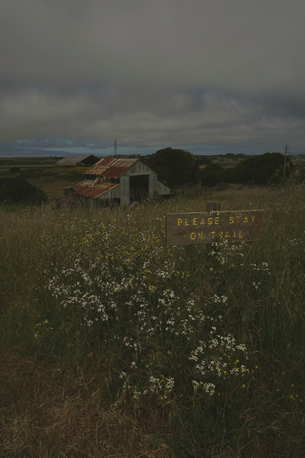 brown wooden house on green grass field