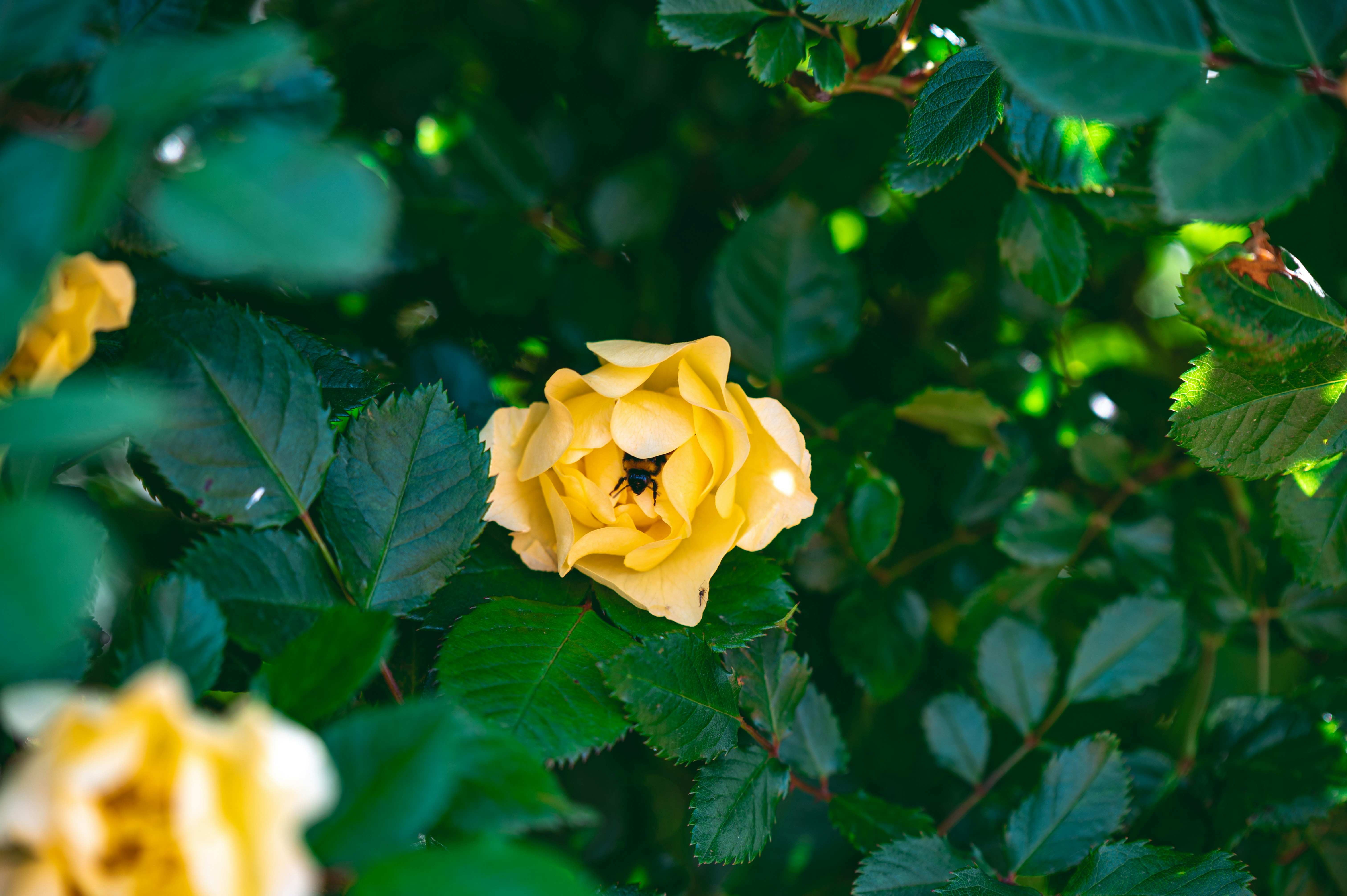 Photo by andreasbrun